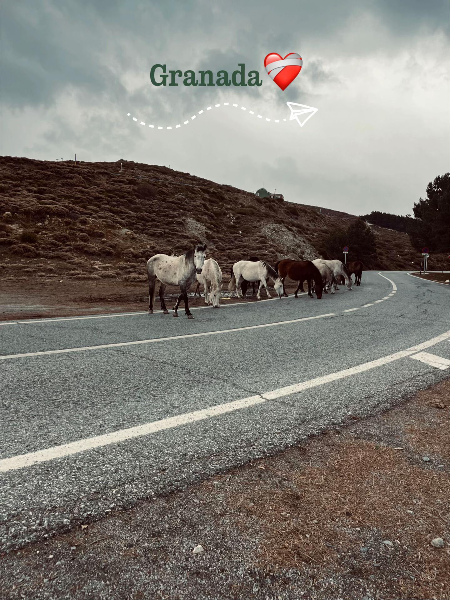 @E 🇷🇴