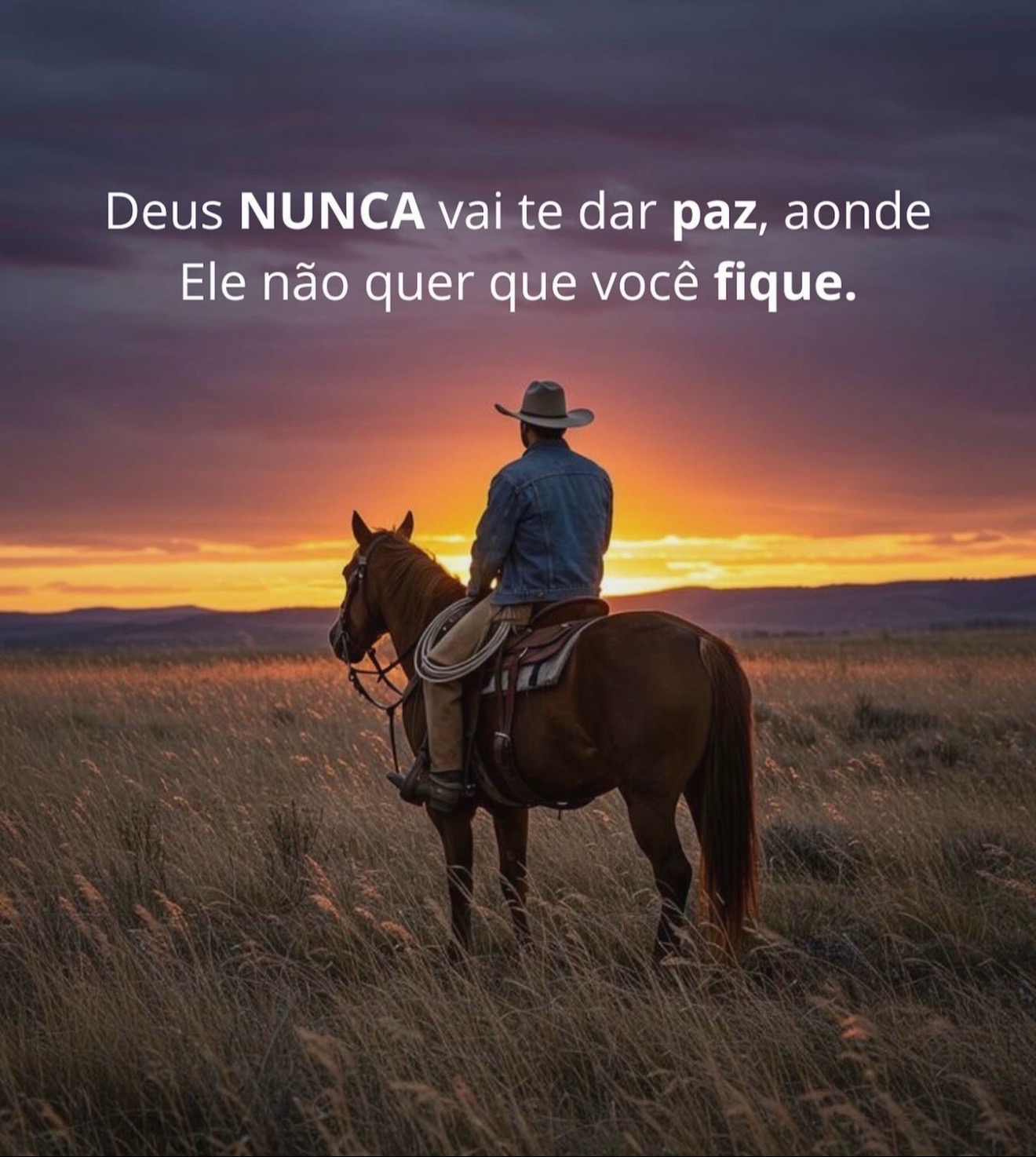 @PROFESSOR JOSEMIR MARTINS