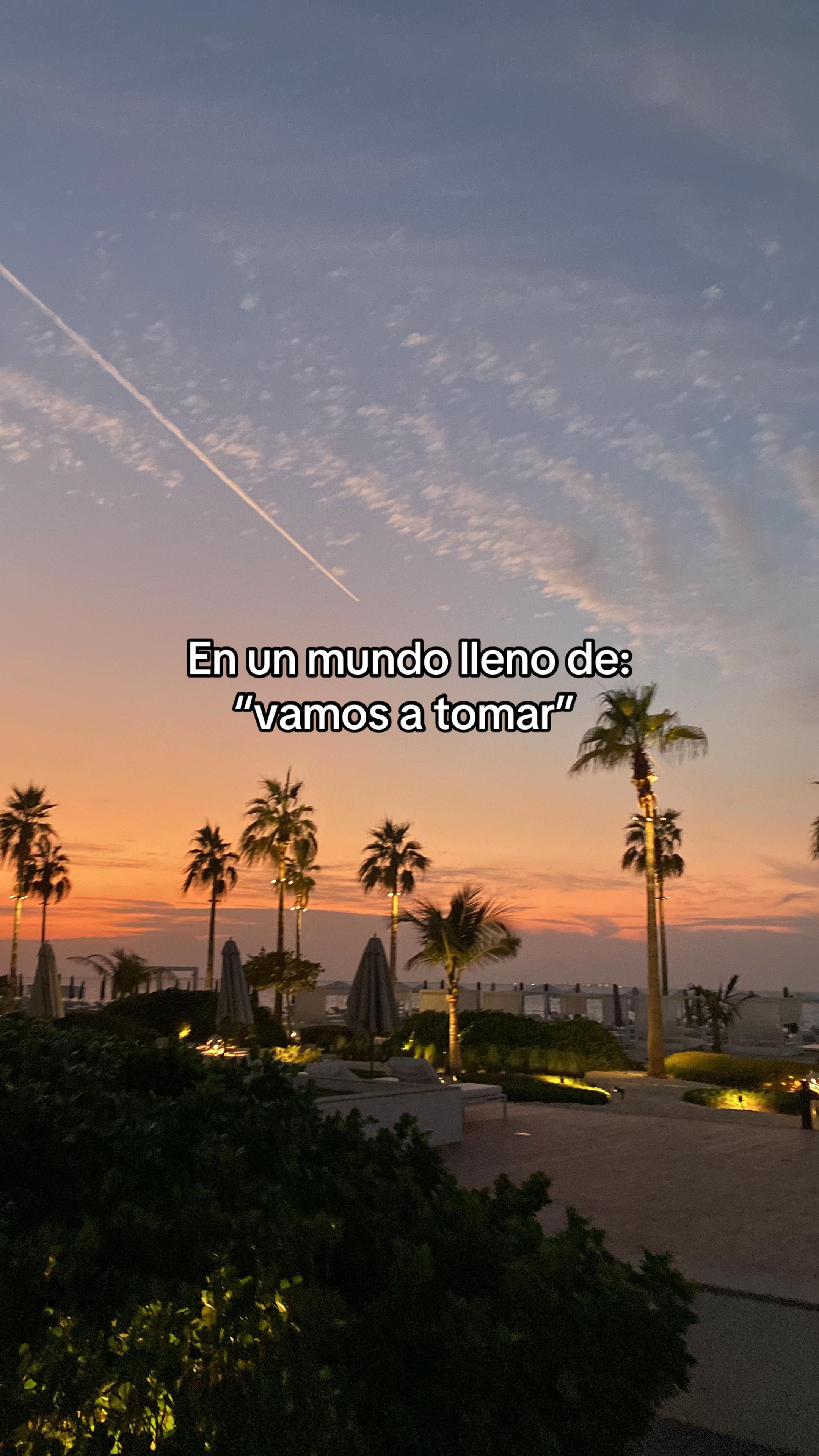 @Daniela Fowks✨