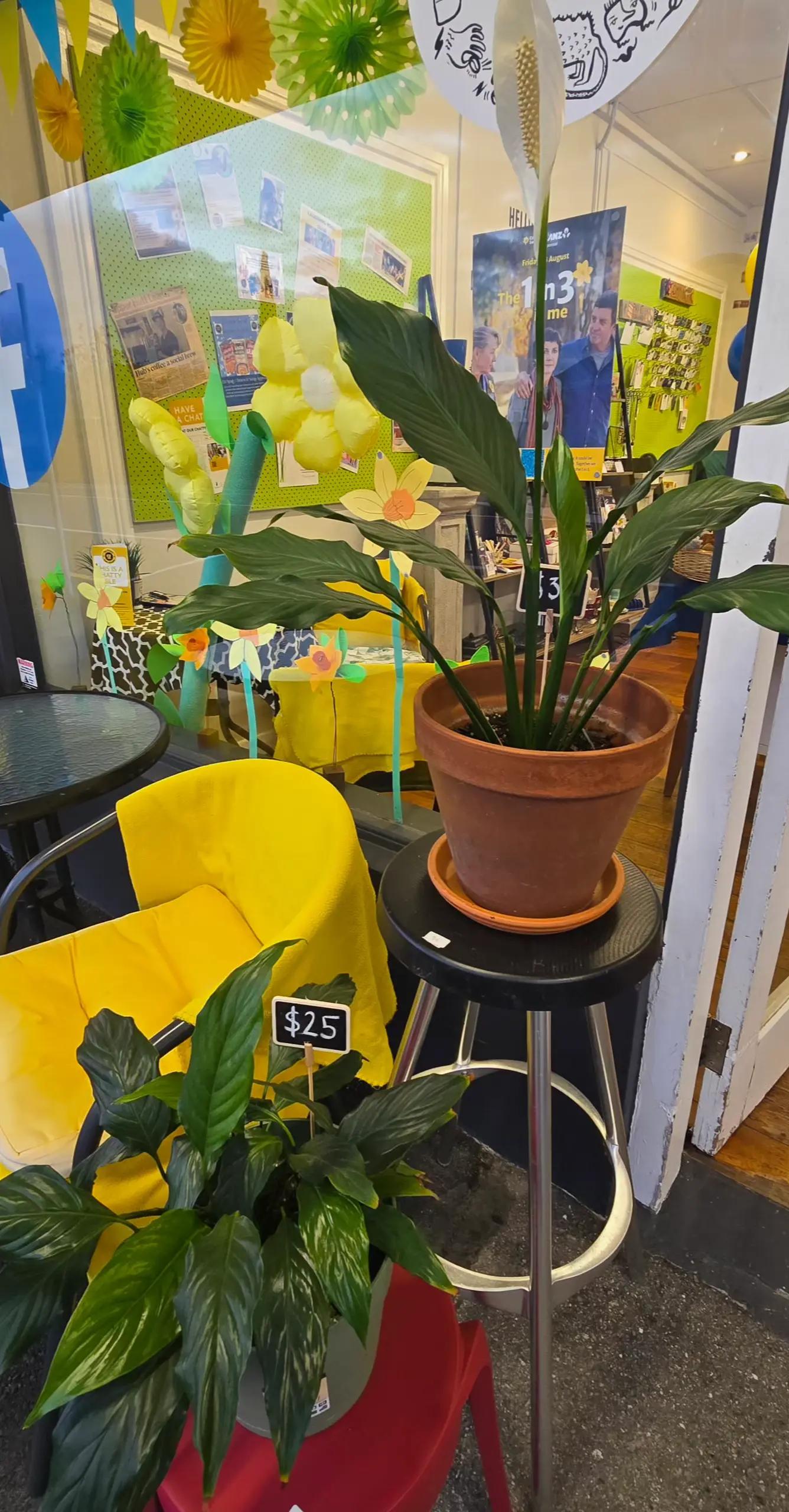 @The Hub Social - Wellington NZ