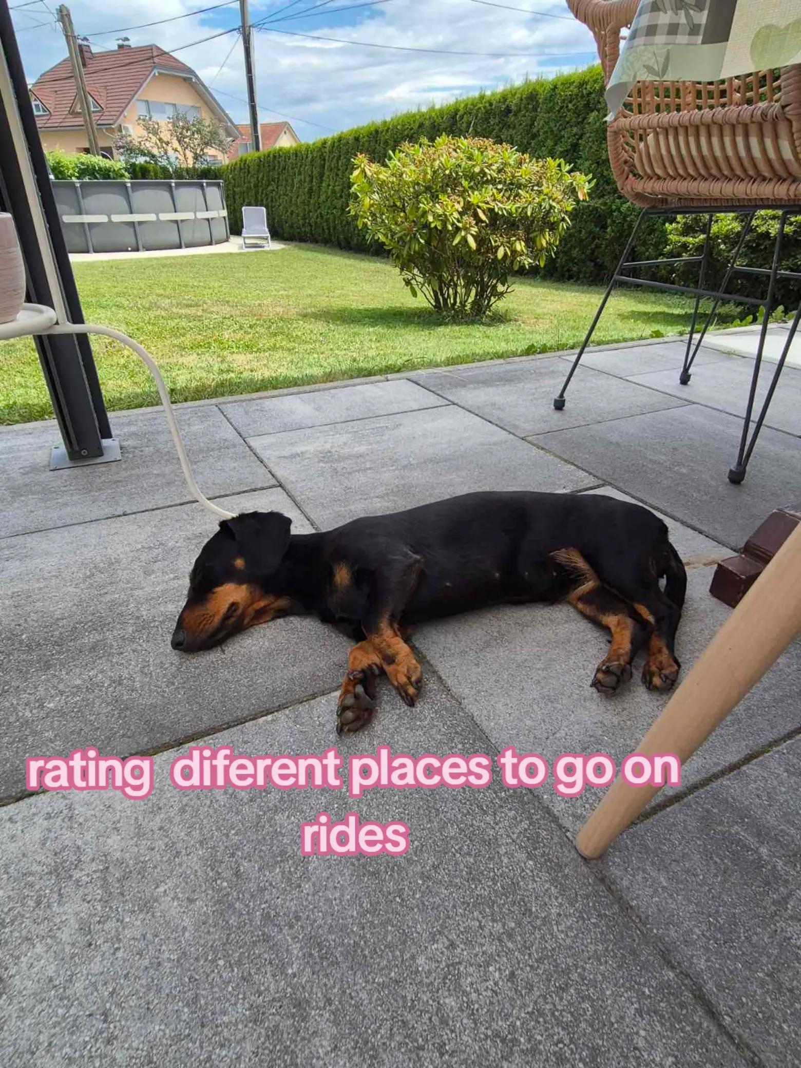 @𝓼𝓪𝓻𝓪