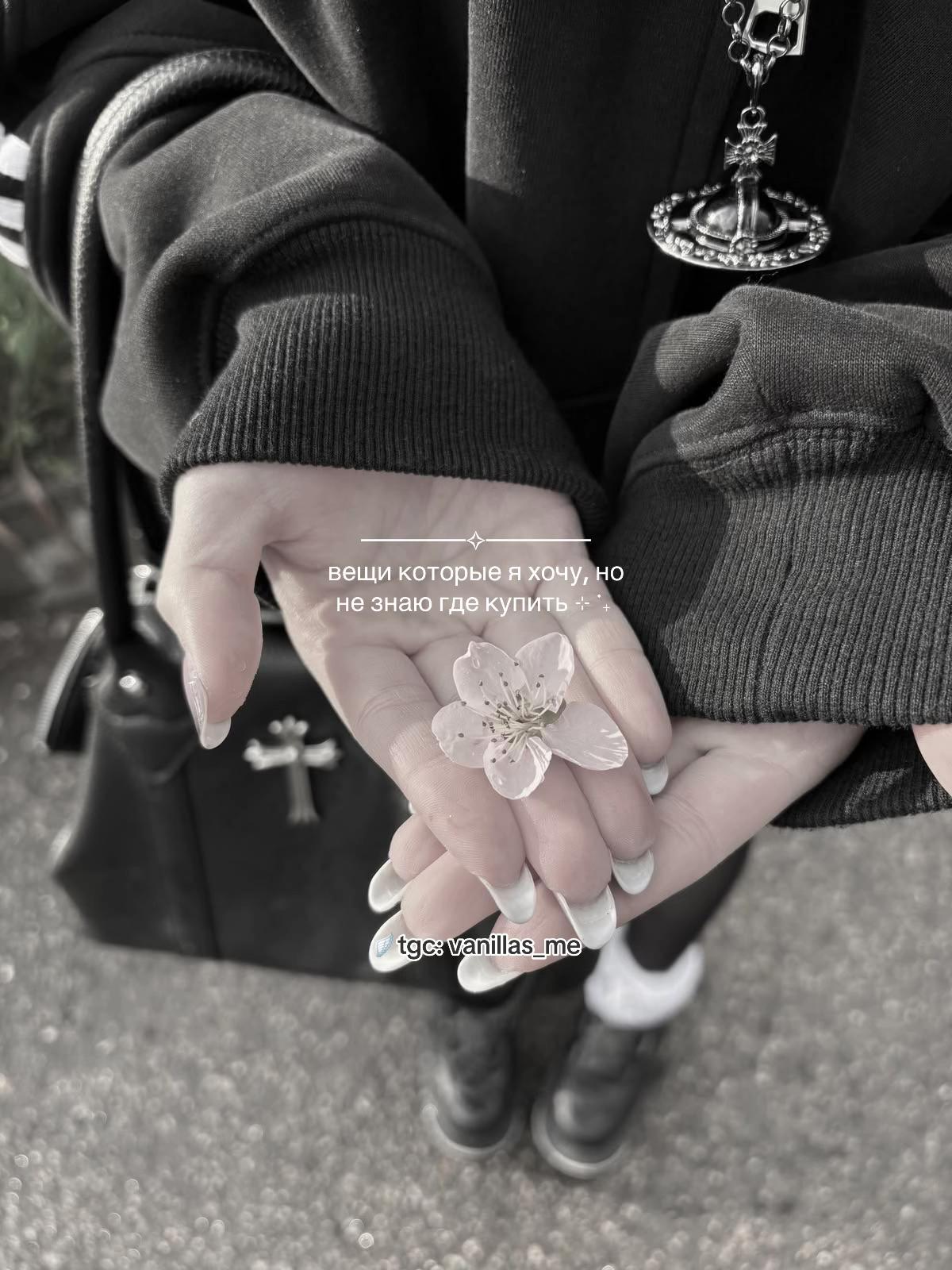 @⊹ 𝘷𝘢𝘯𝘪𝘭𝘭𝘢 ࣪ ˖
