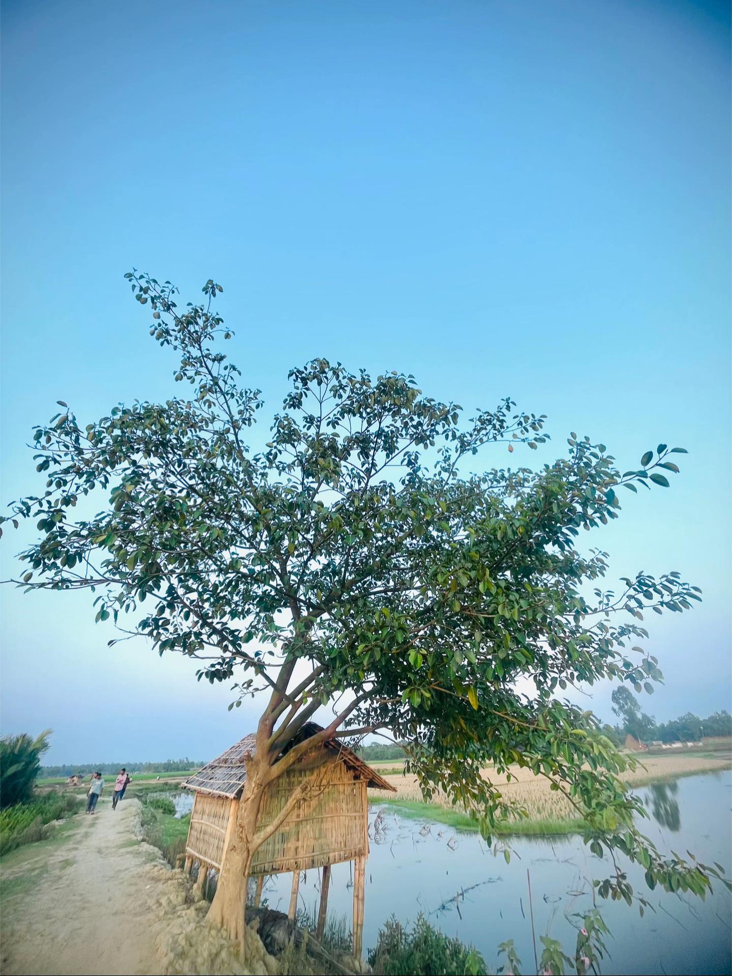 @উপন্যাসিক🖤🌸