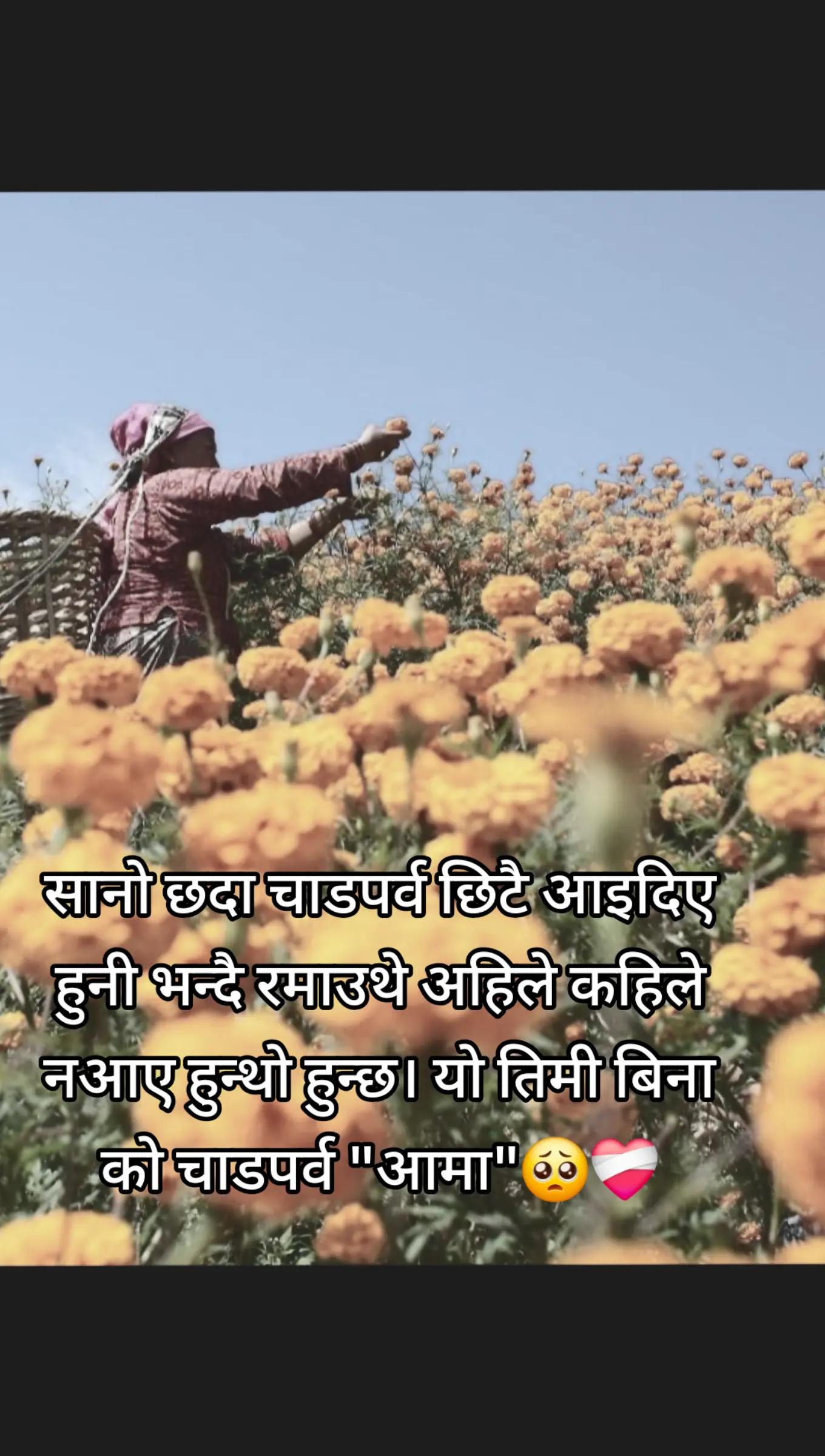@Pradeep Tamang