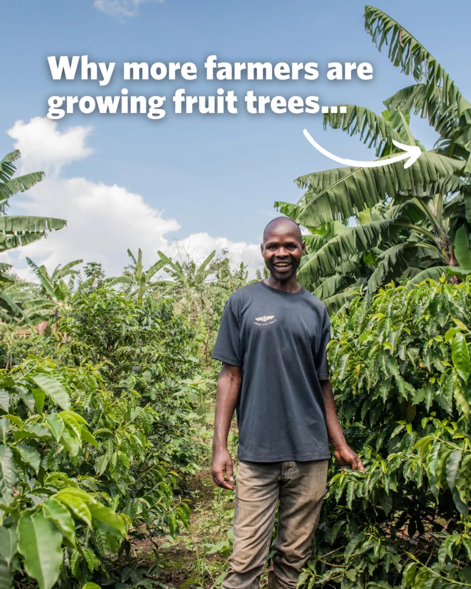 @OneAcreFund.org