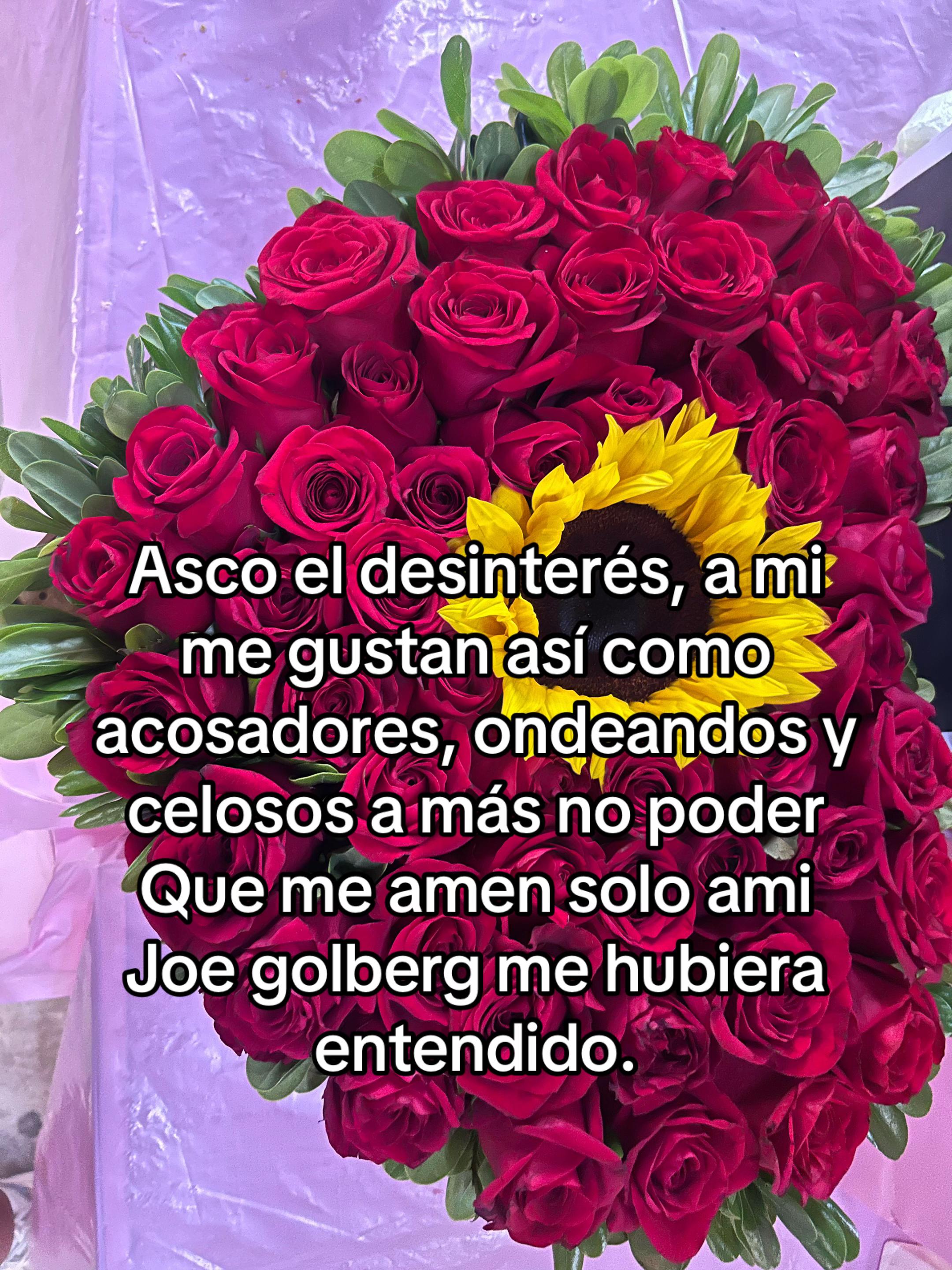 @May_mey
