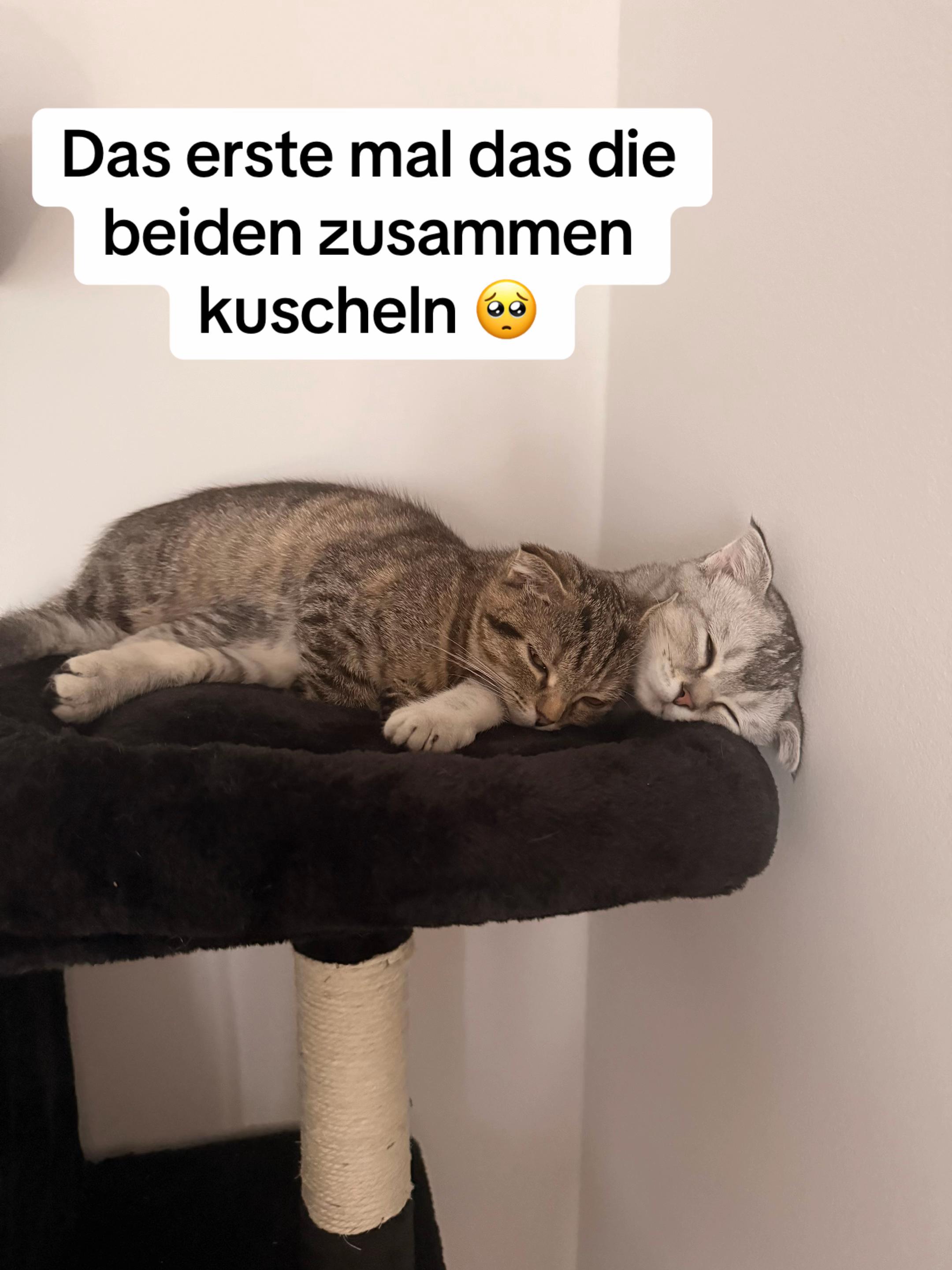 @Divaurteilt