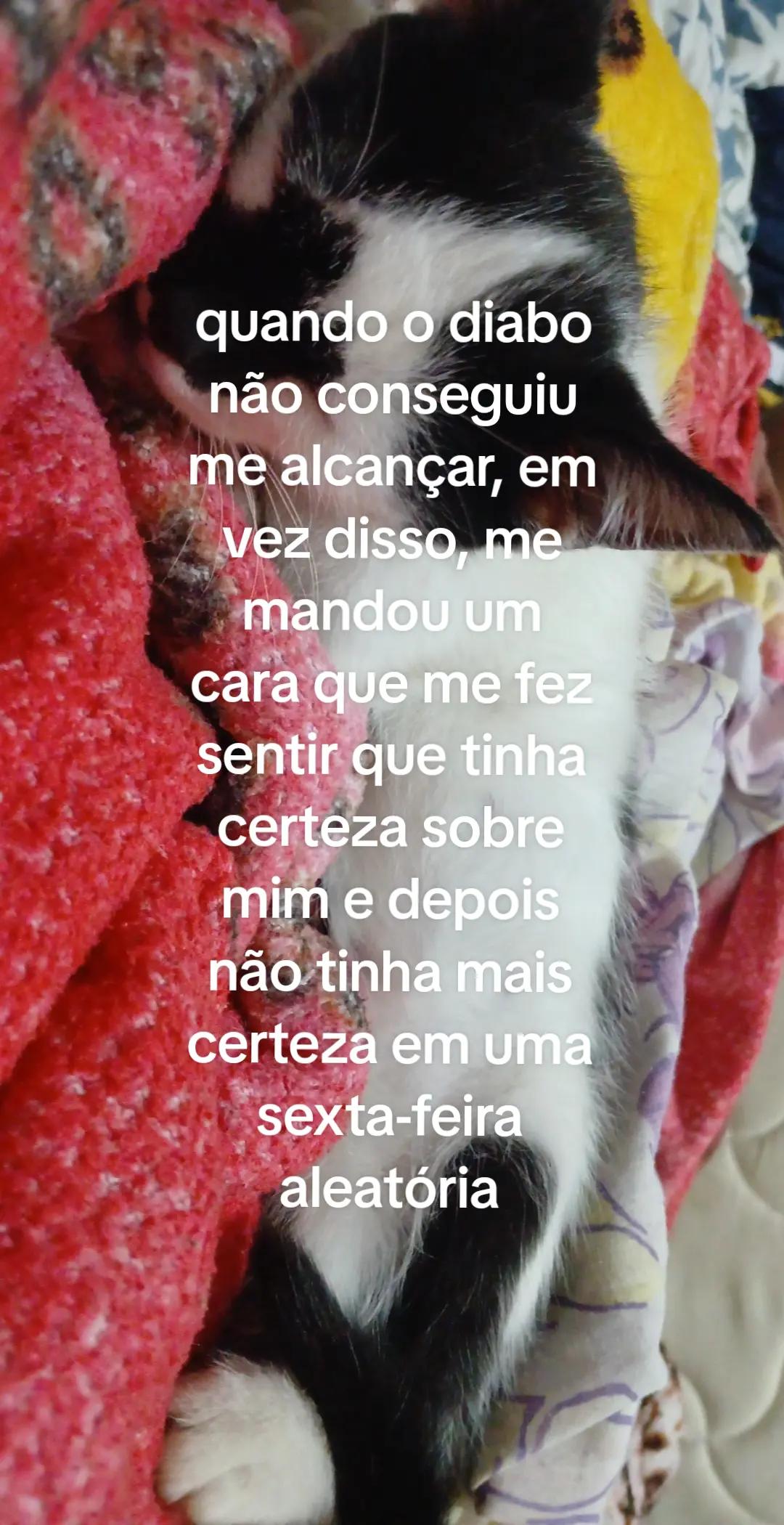 @mimi⁷
