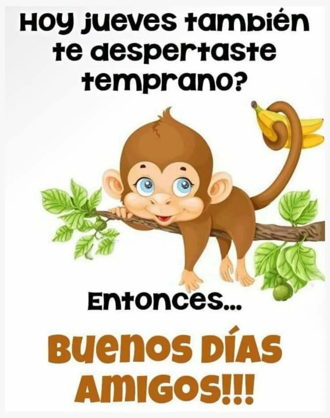 @Lila👩&zwj;❤️&zwj;👨👸🏻👸🏽