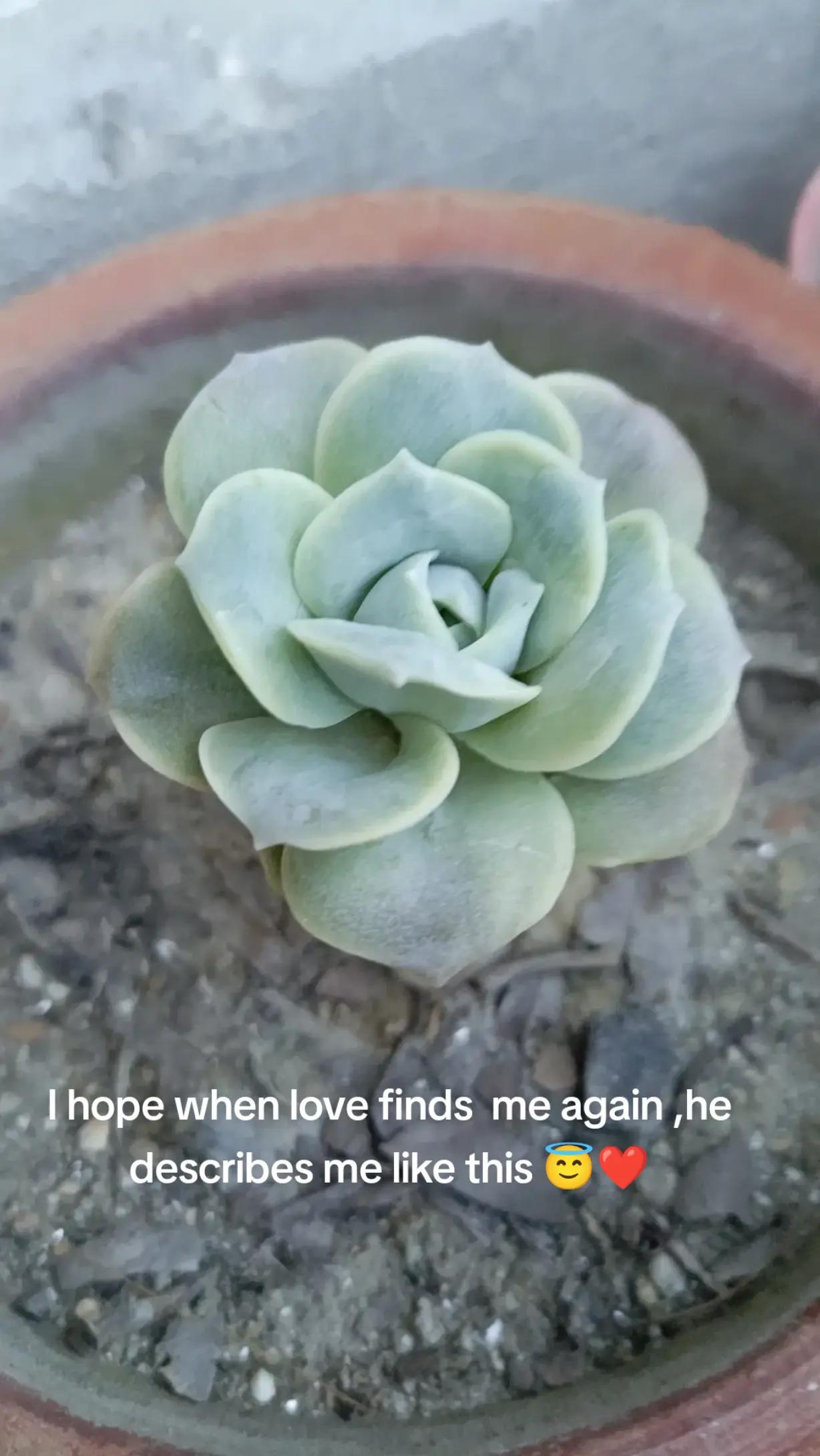 @Hey🔱🕉️🦂