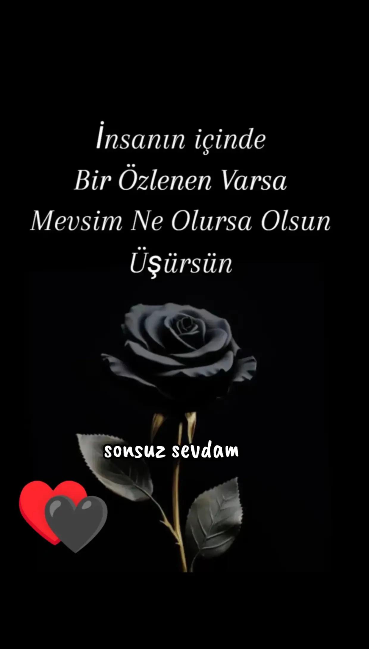 @ֆօռֆʊʐ ֆɛʋɖǟʍ