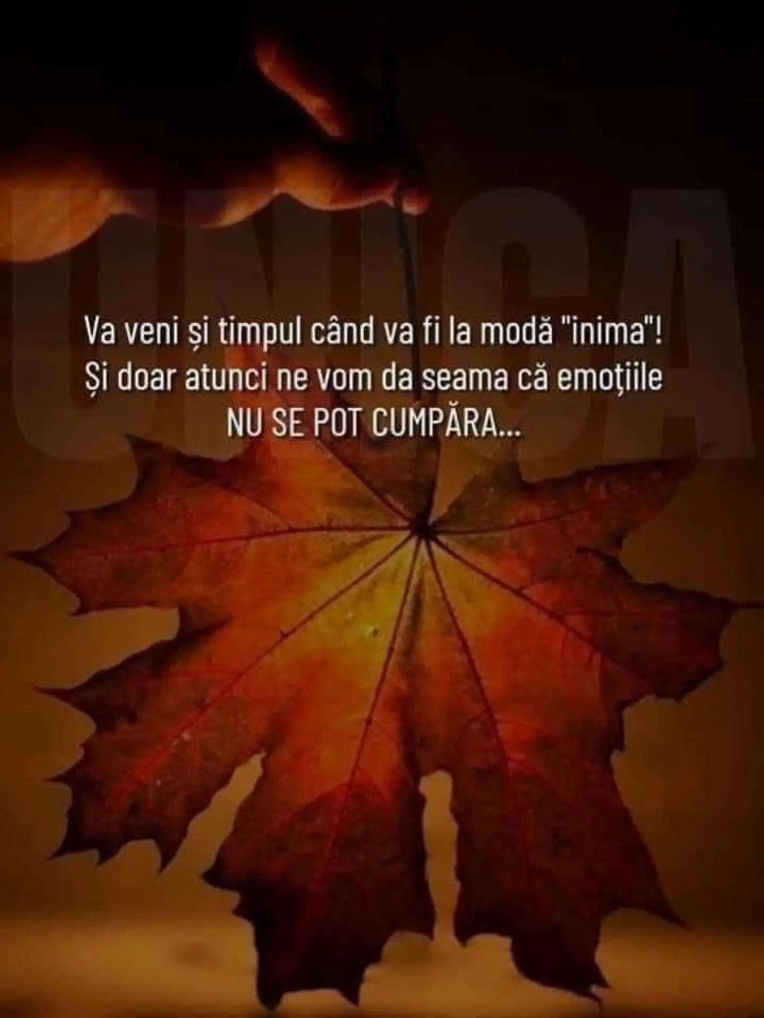 @Maricica74