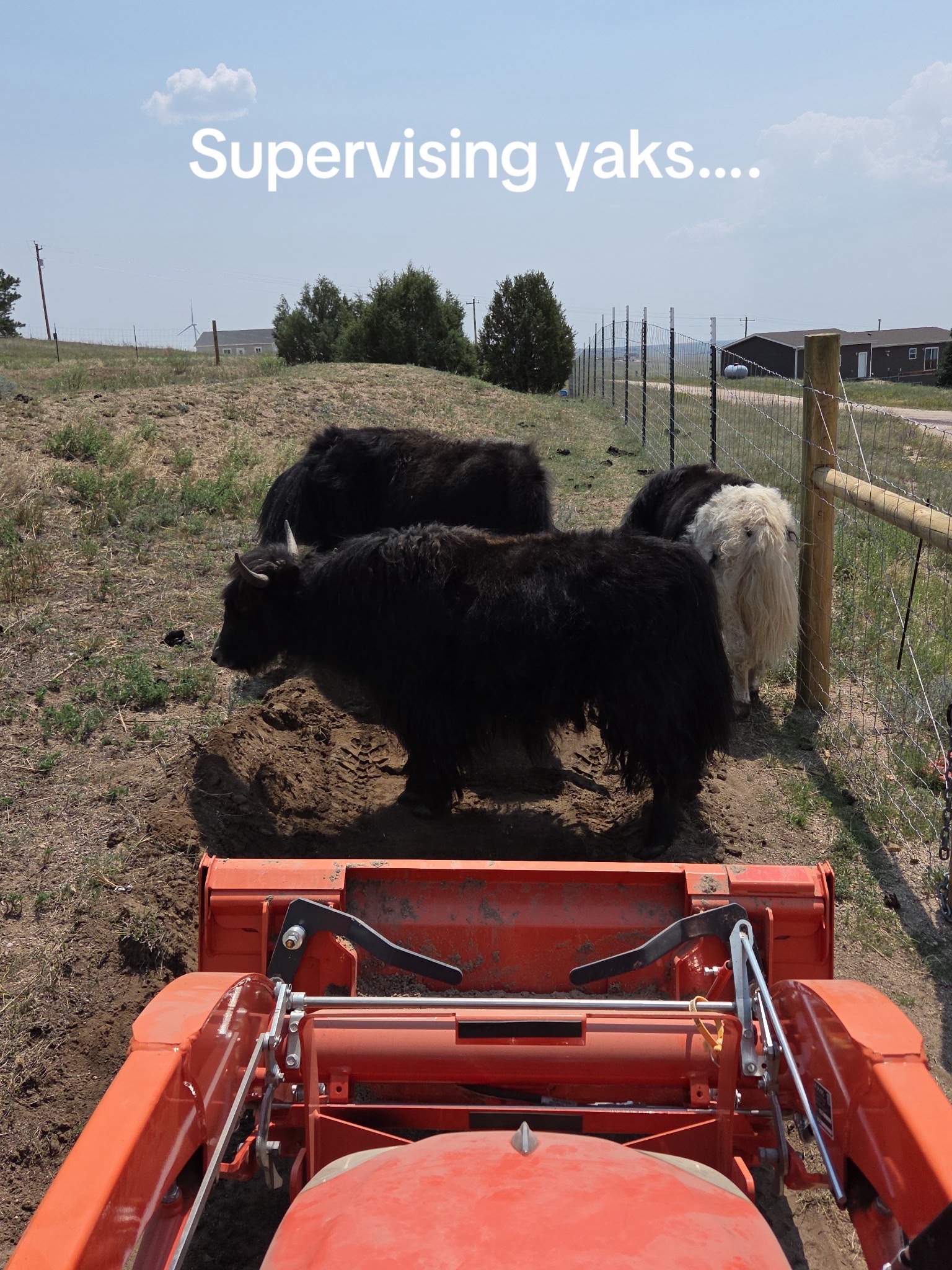 @Yakety Yak Ranch