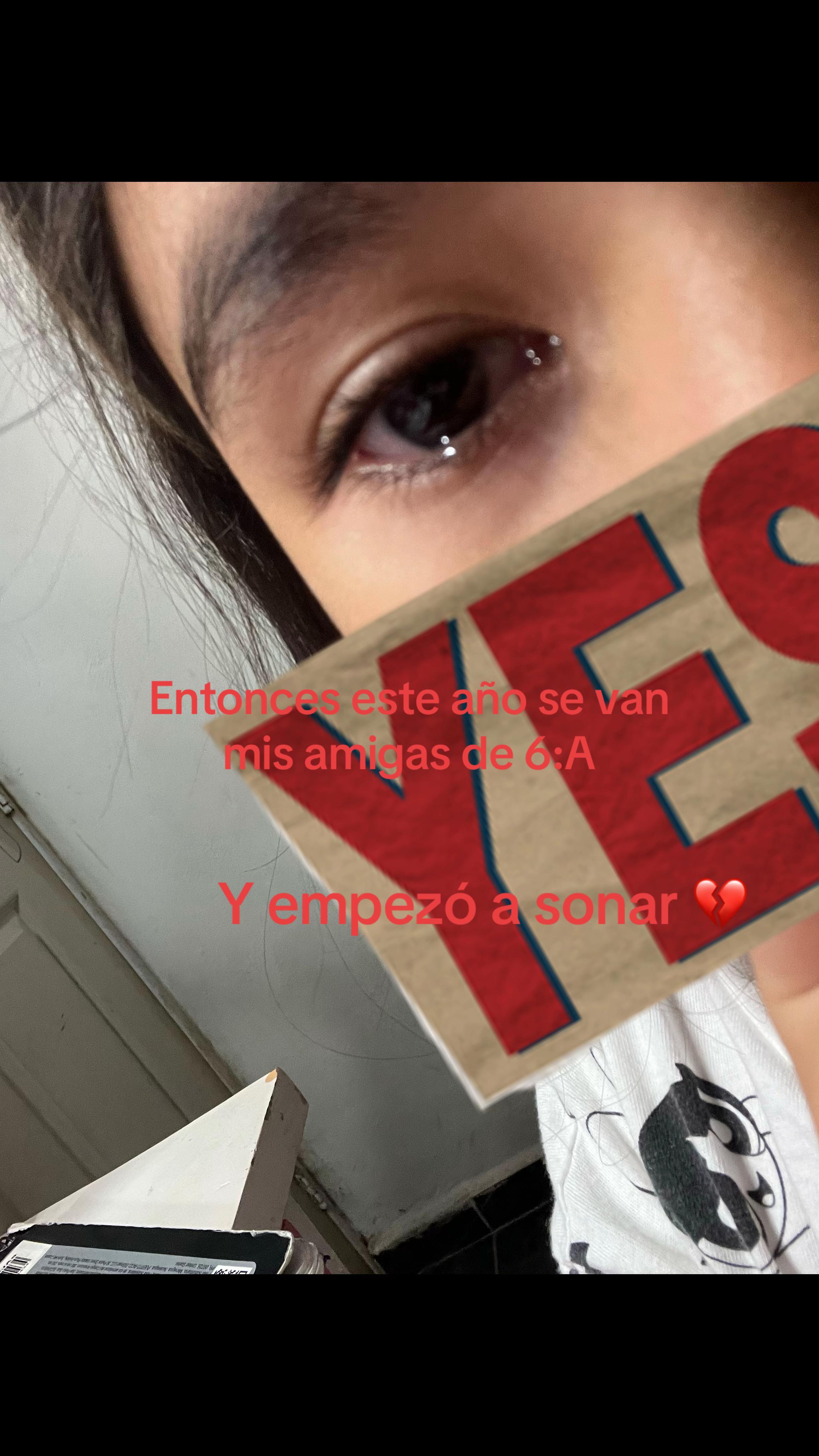 @Jordana Palma