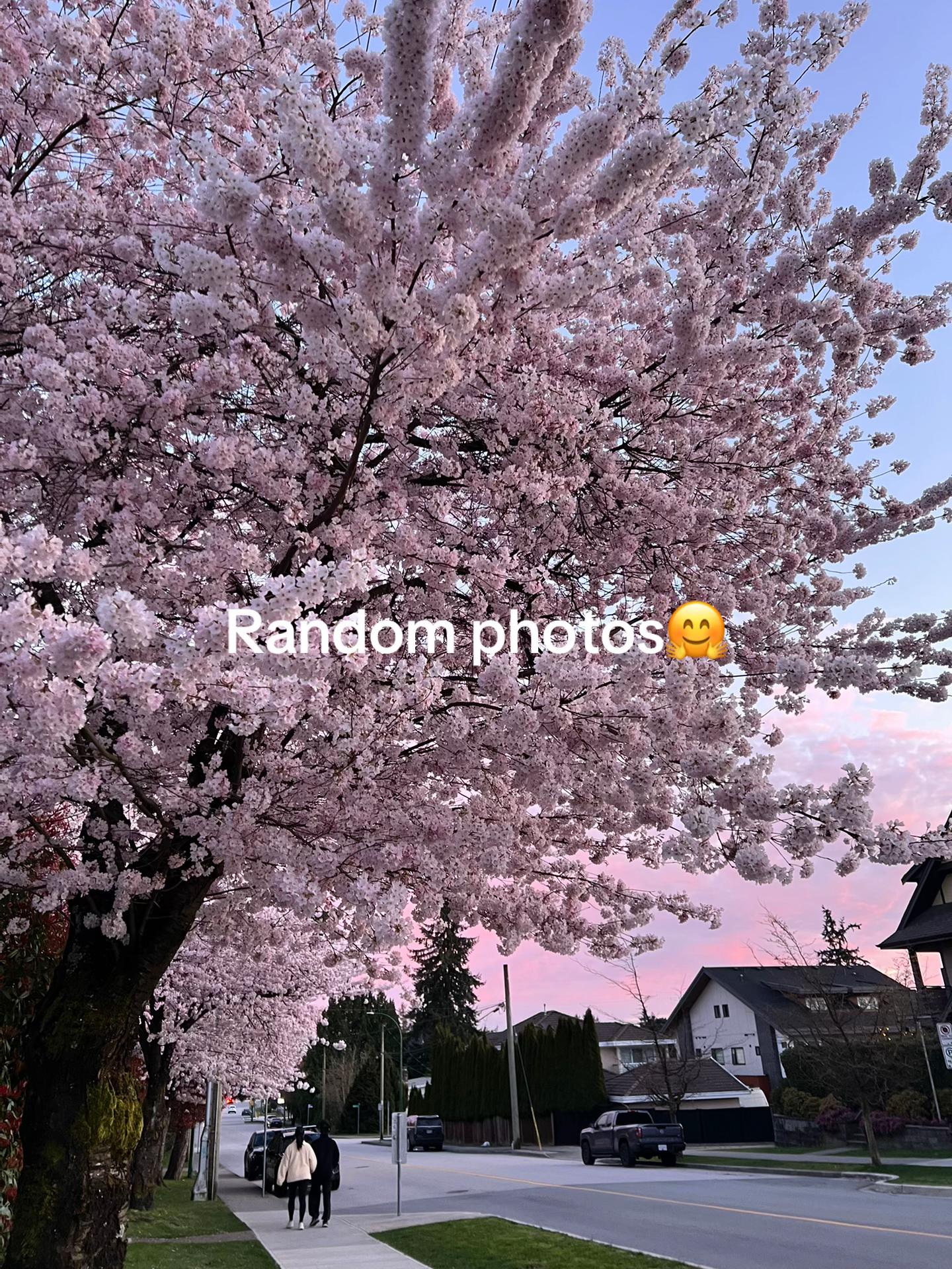 @Obanai Iguro