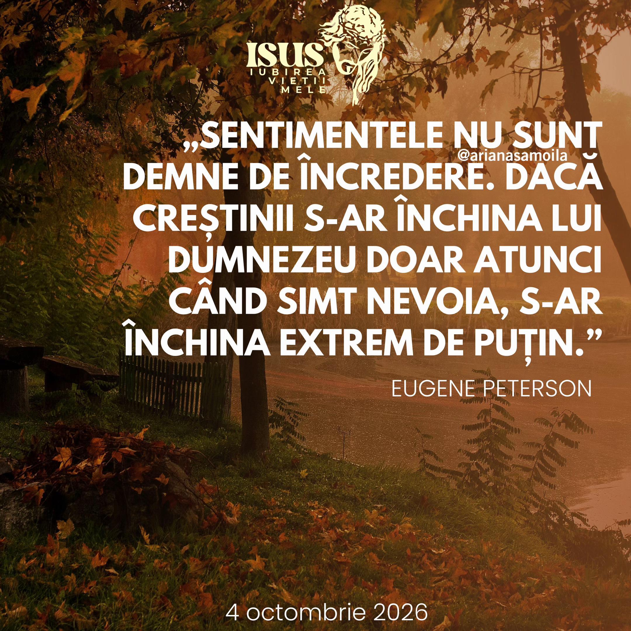 @Ariana Samoilă