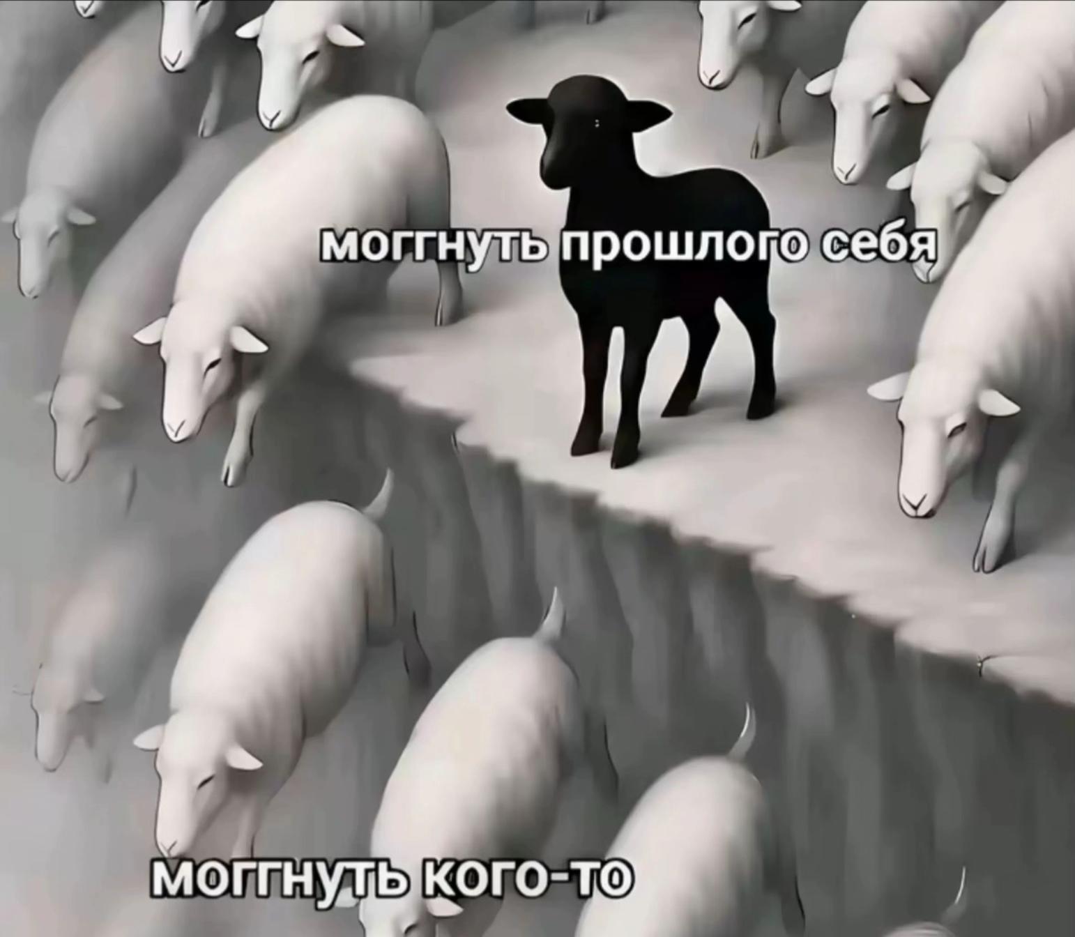 @Лисушка