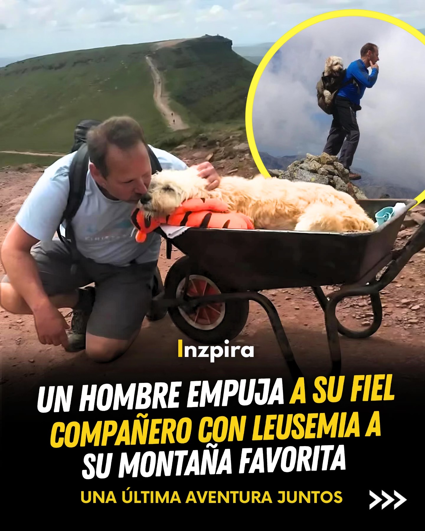 @inzpira.oficial