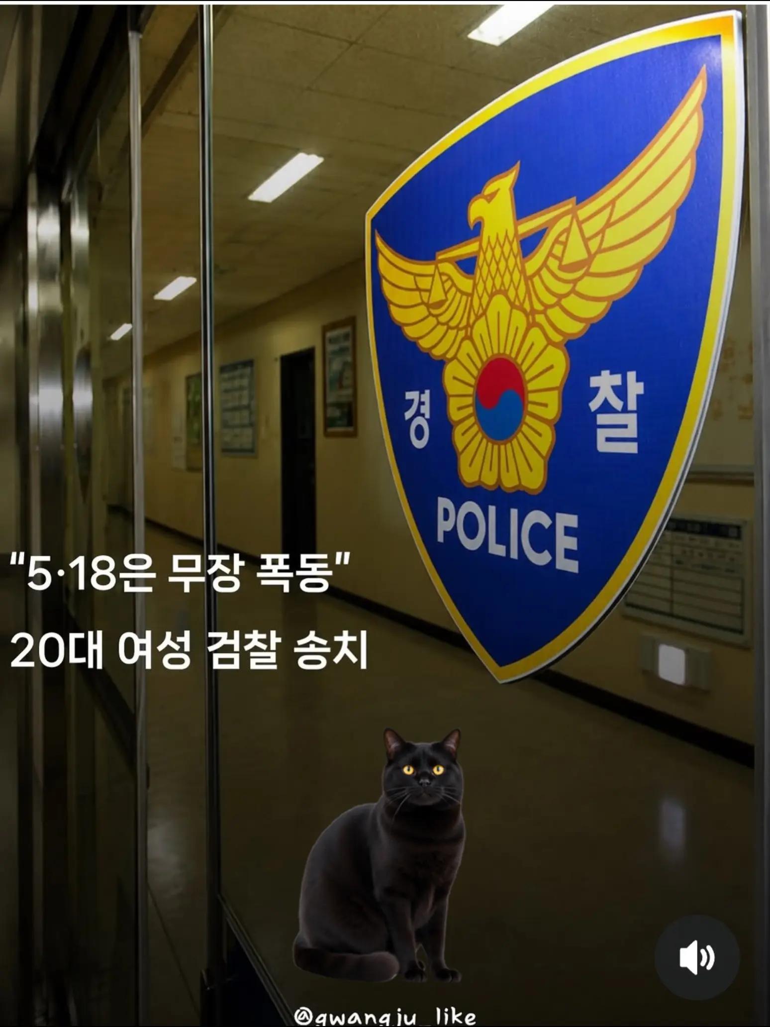 @🌺시라소니[본]🌺