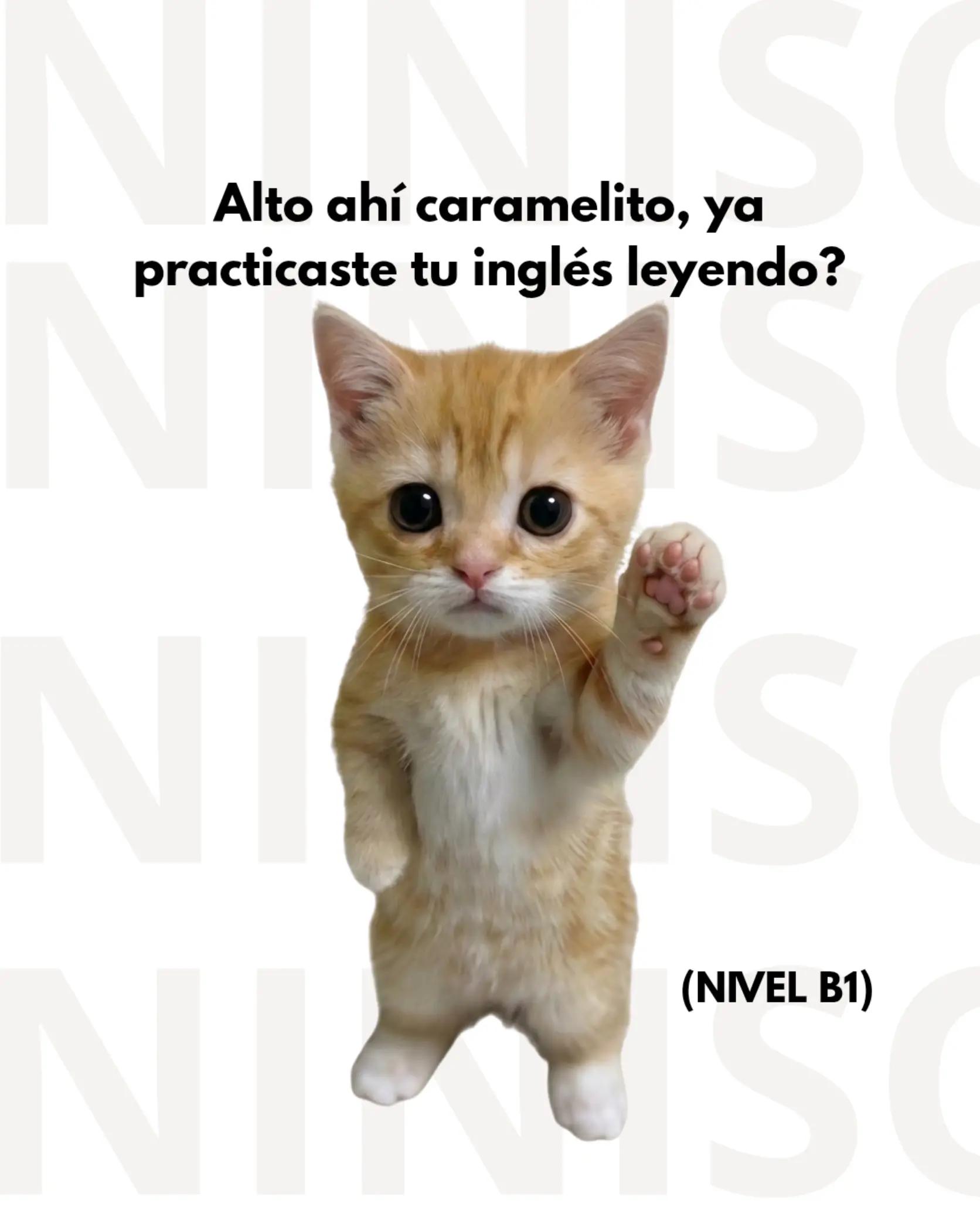 @practicainglescaramelito