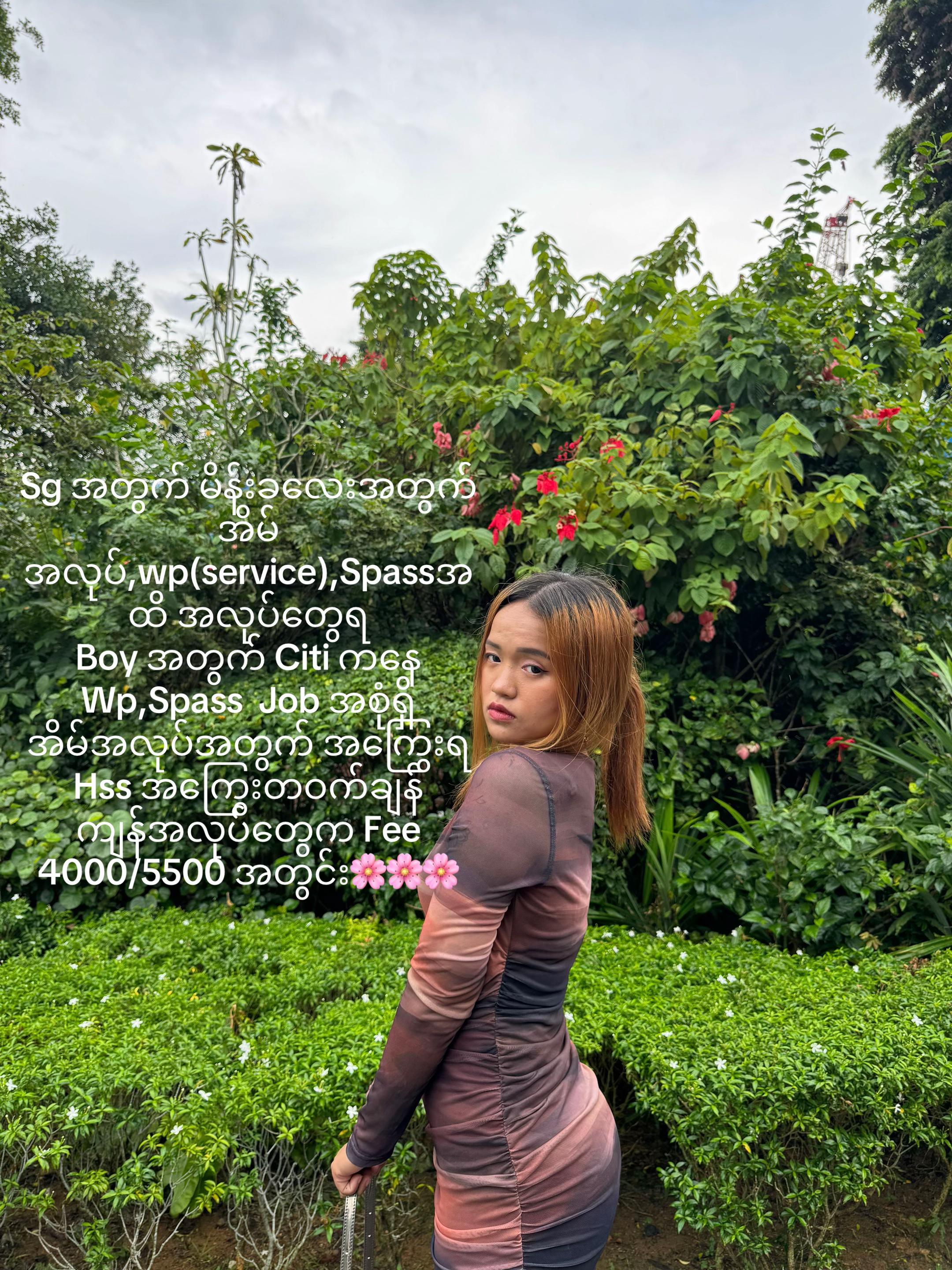 @Khaing Zin Htet🌸