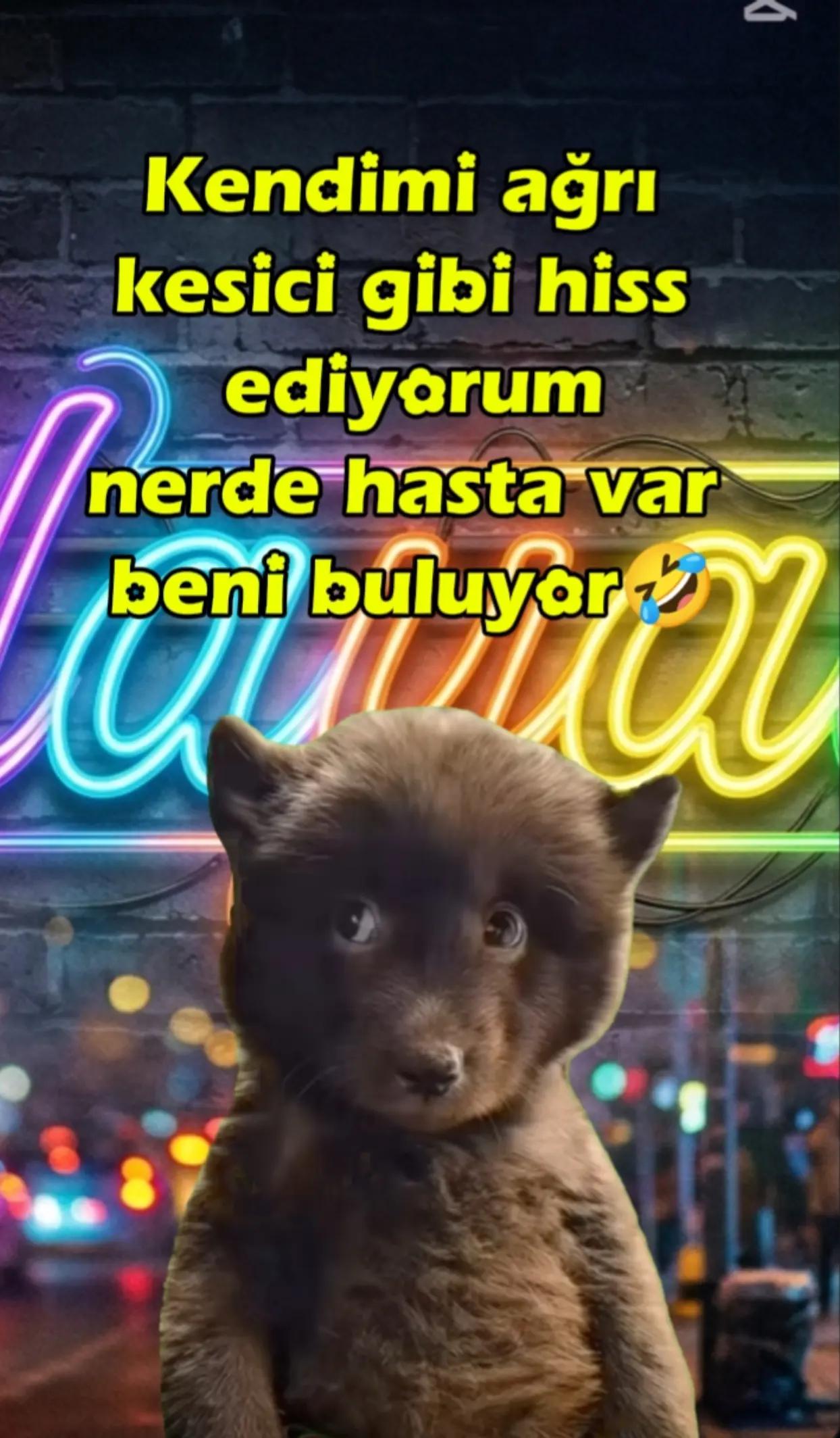 @🌟🐦🔥🇭 🇦 🇾 🇦 🇱 🐦🔥🌟