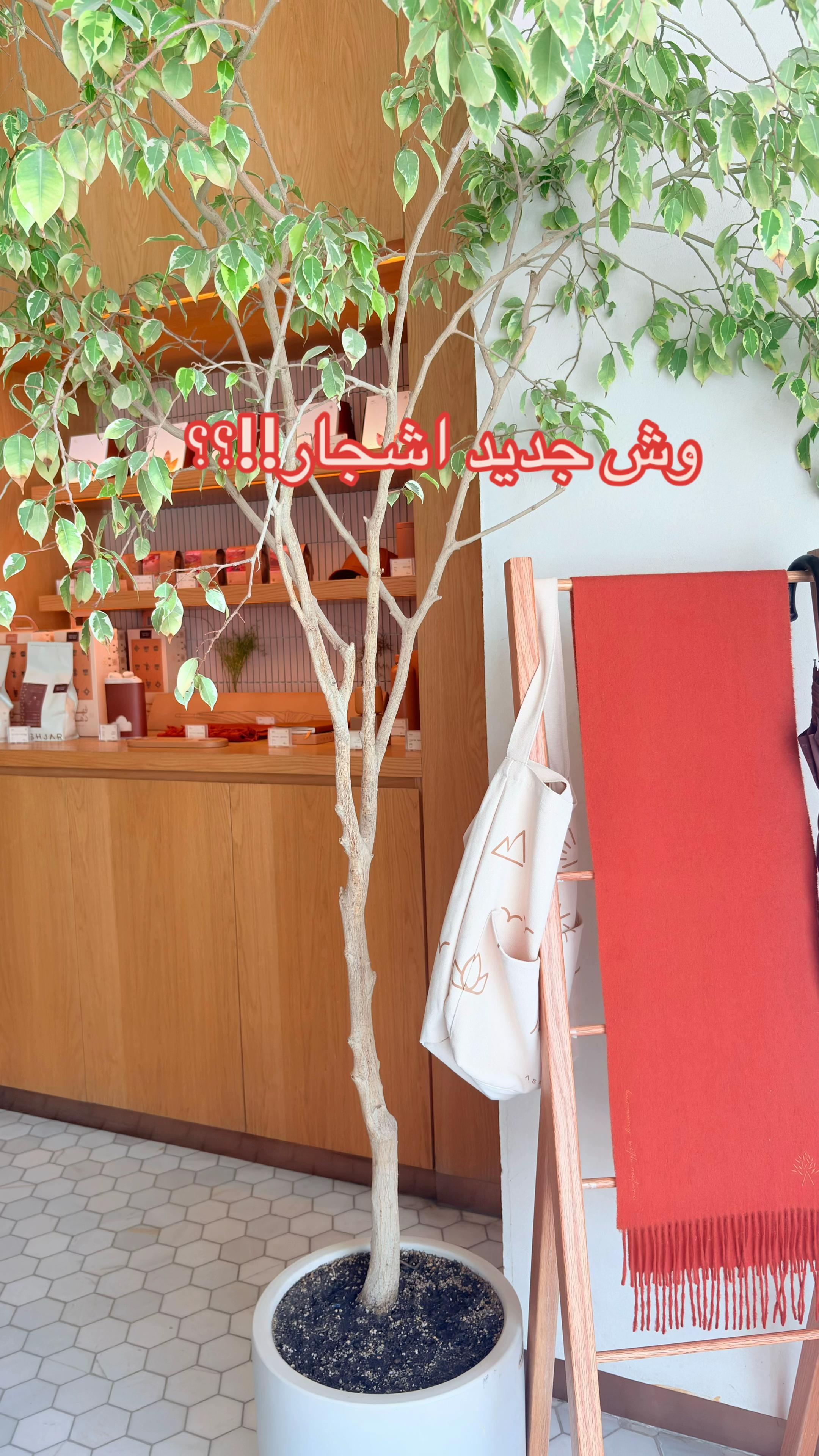 @Riyadh places