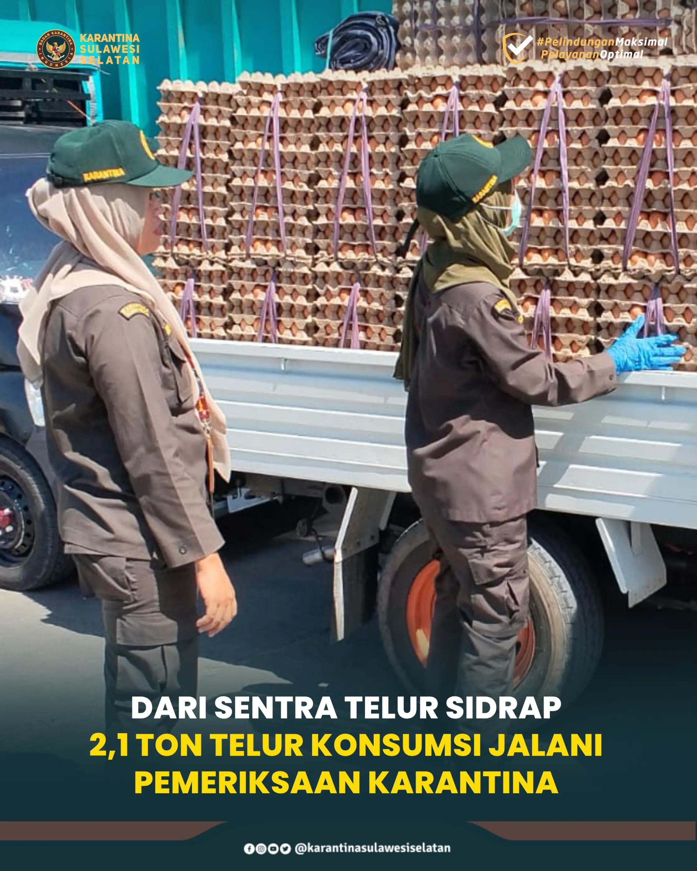 @Karantina Sulawesi Selatan