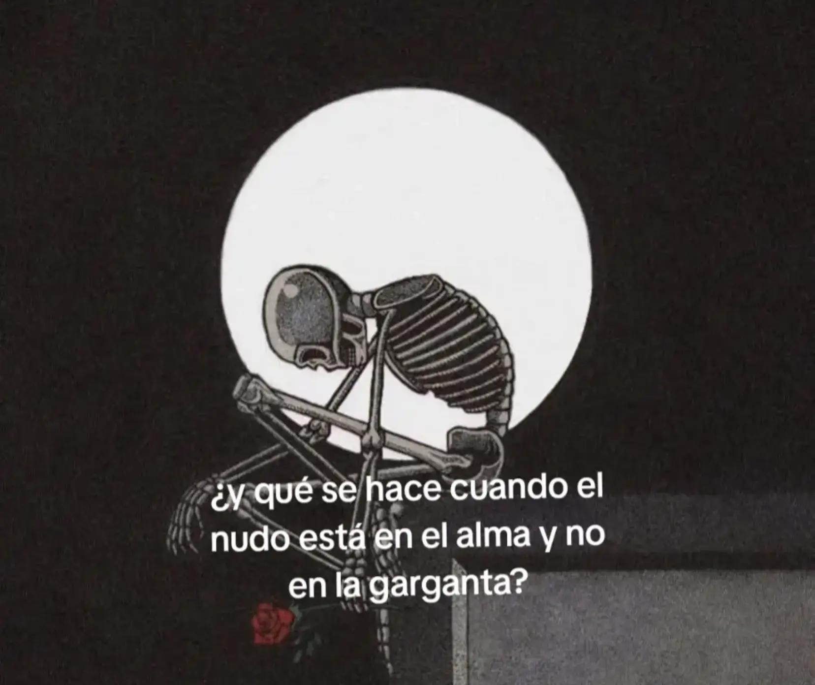 @Bombón