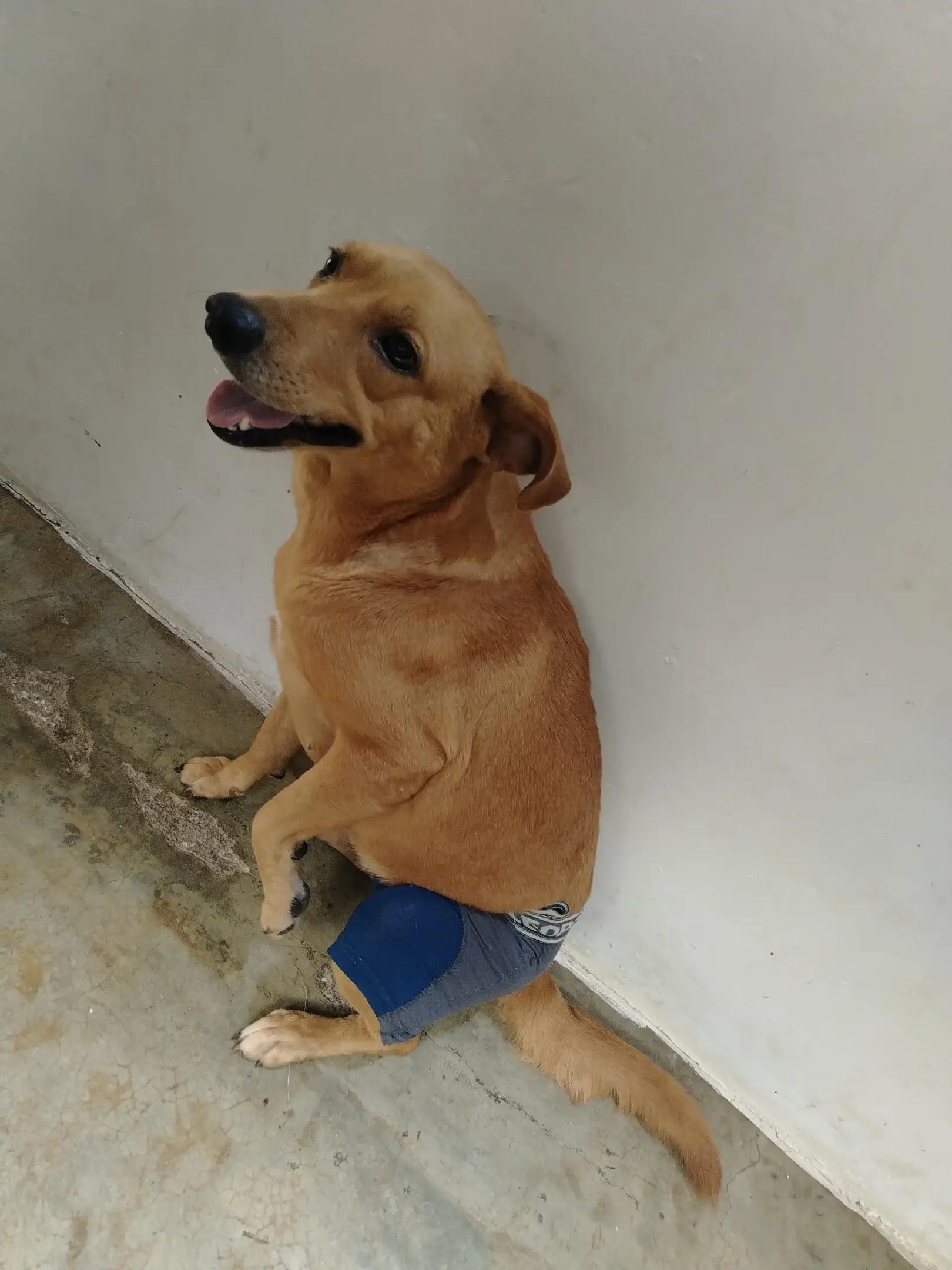 @❤️Lulú❤️