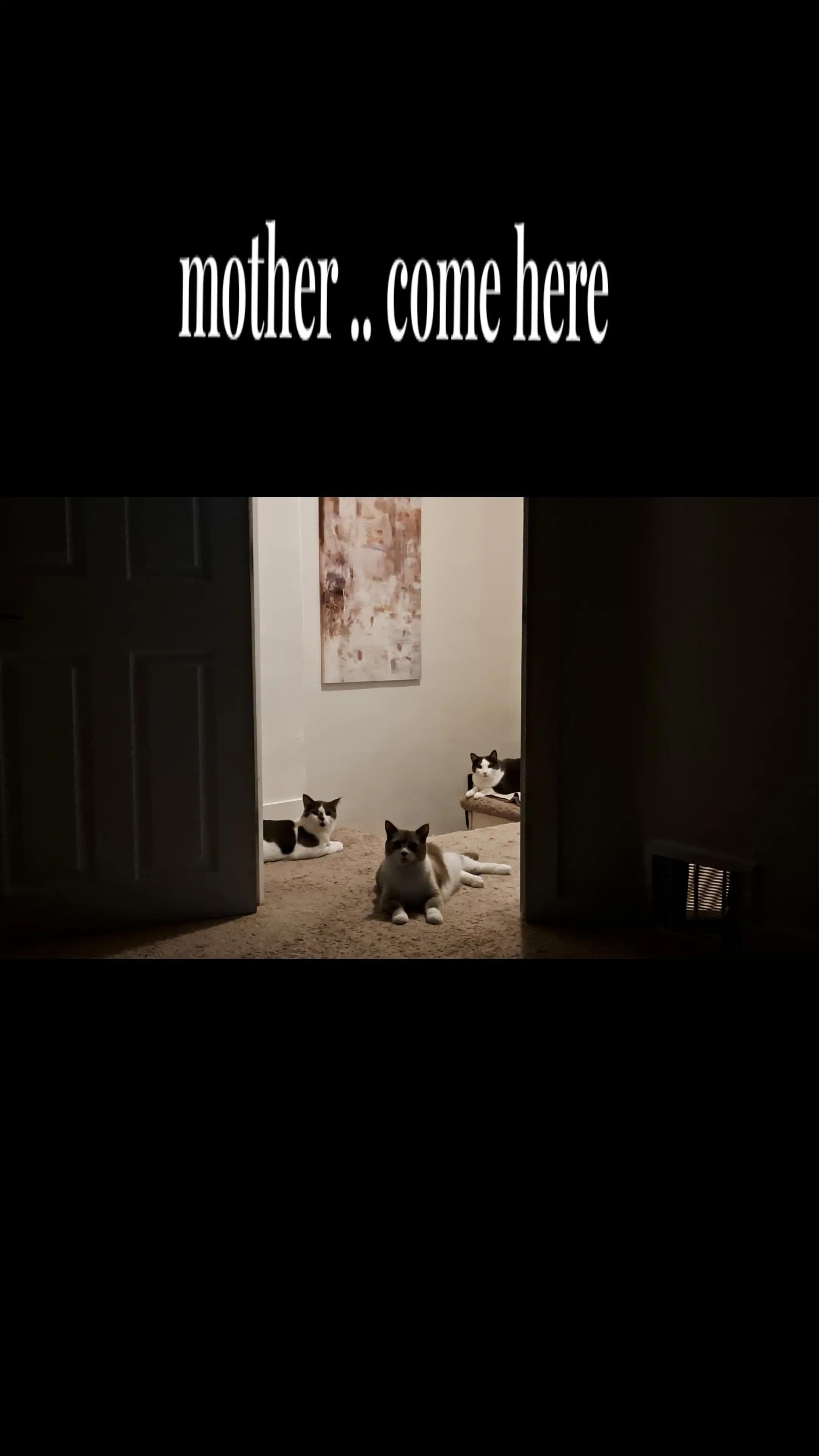 @๏☣ ᴍᴀʀɴ ☣๏