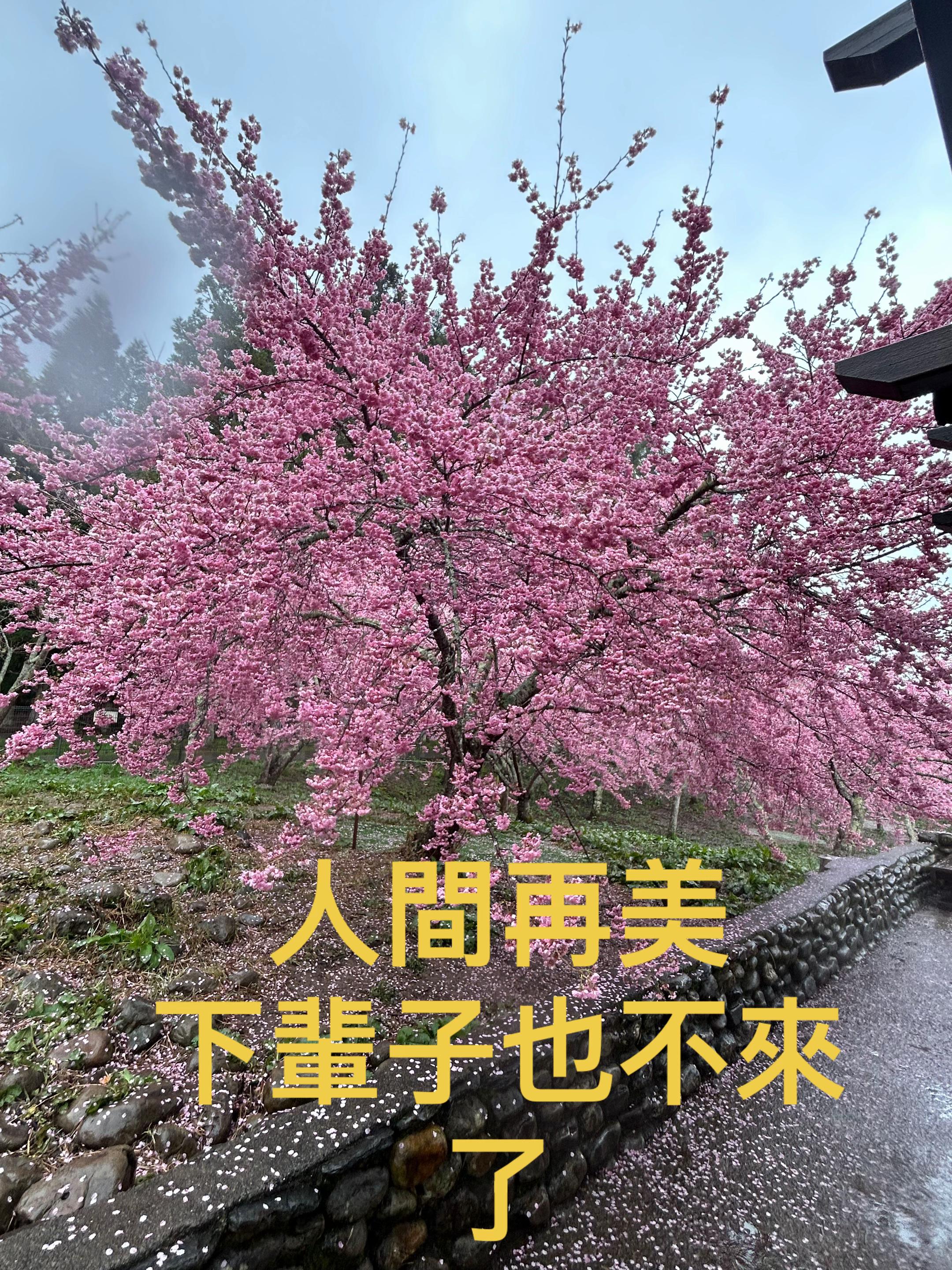 @十七