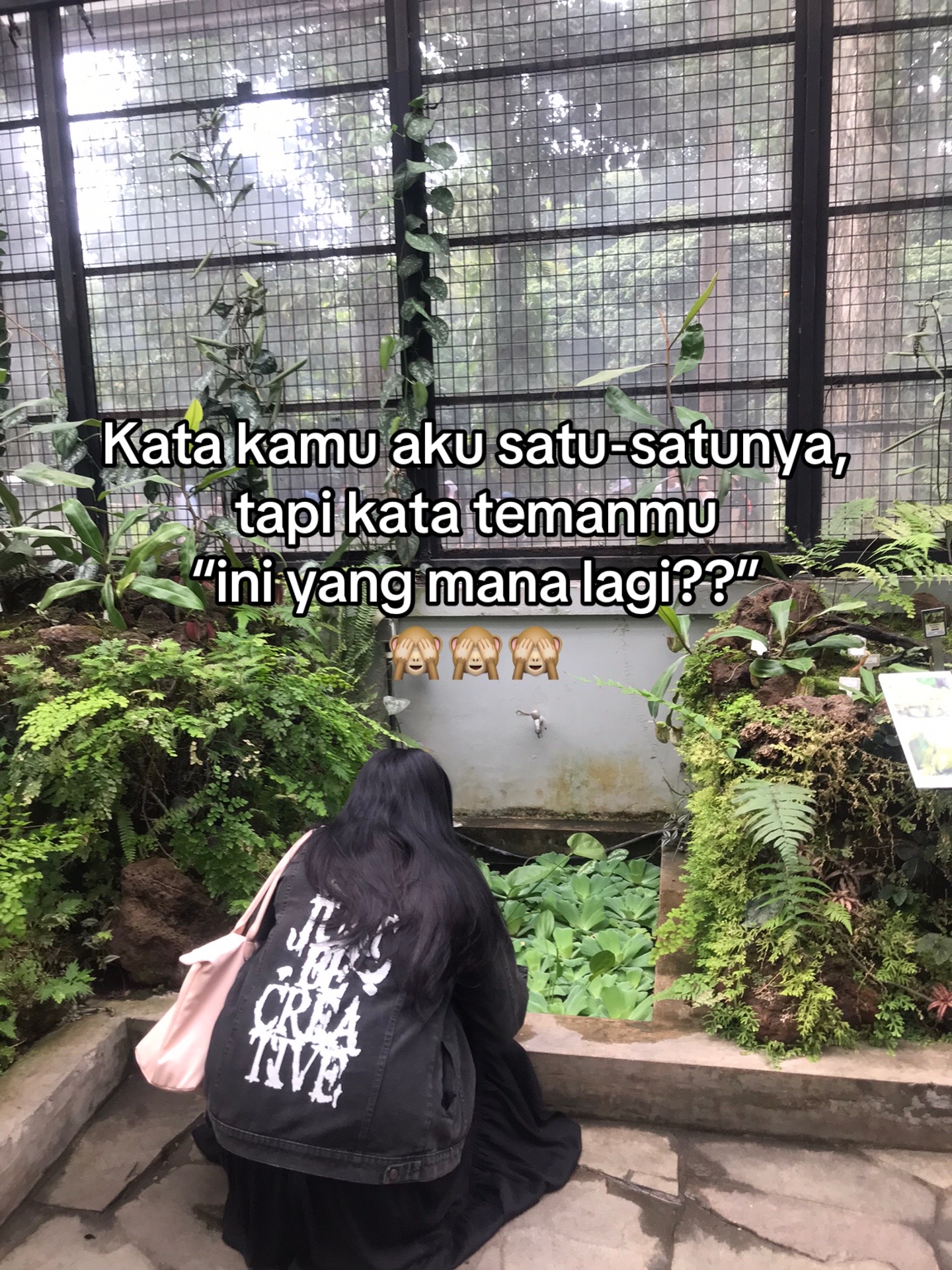 @🐣