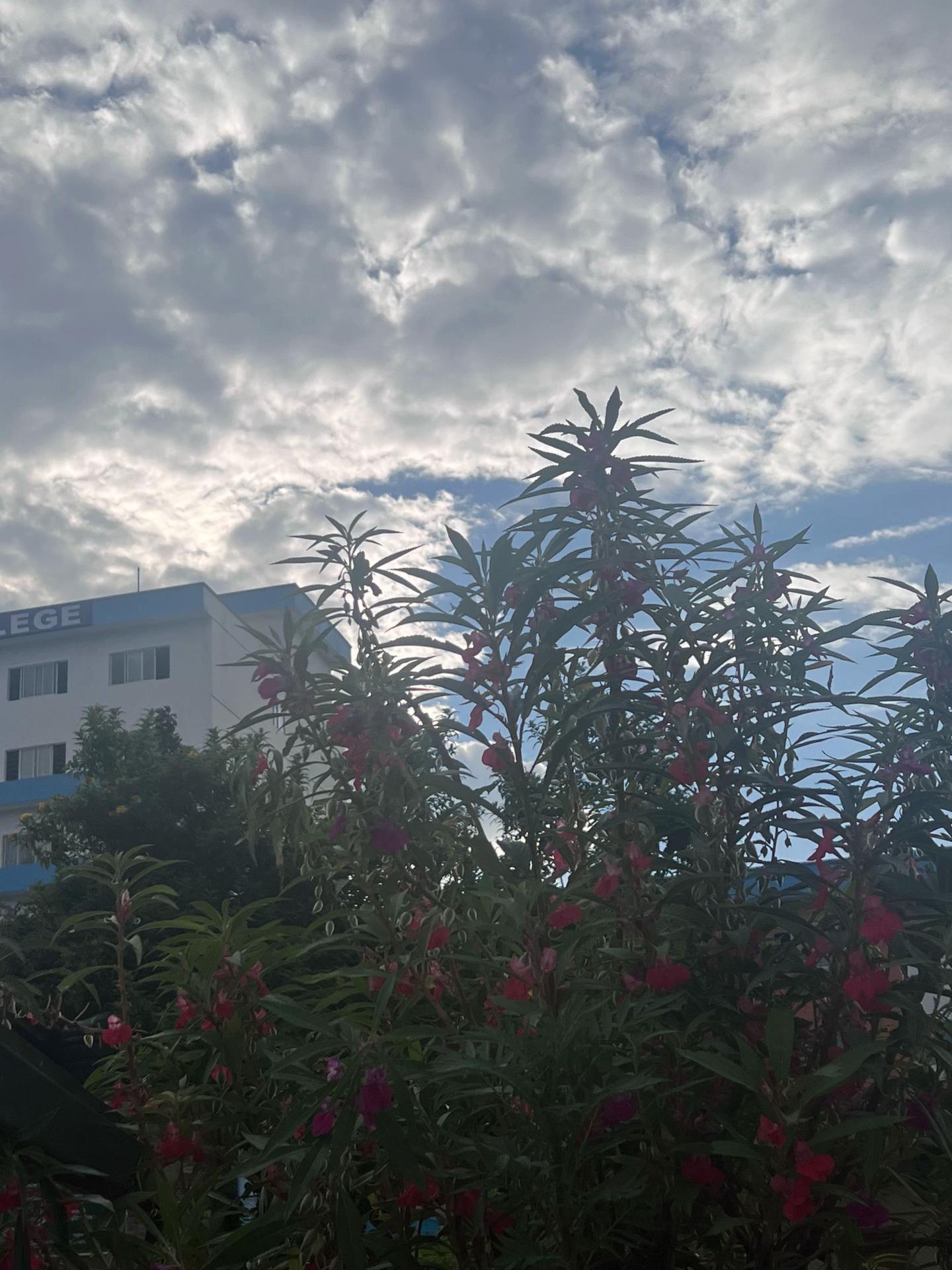 @Anshu Jha🧋
