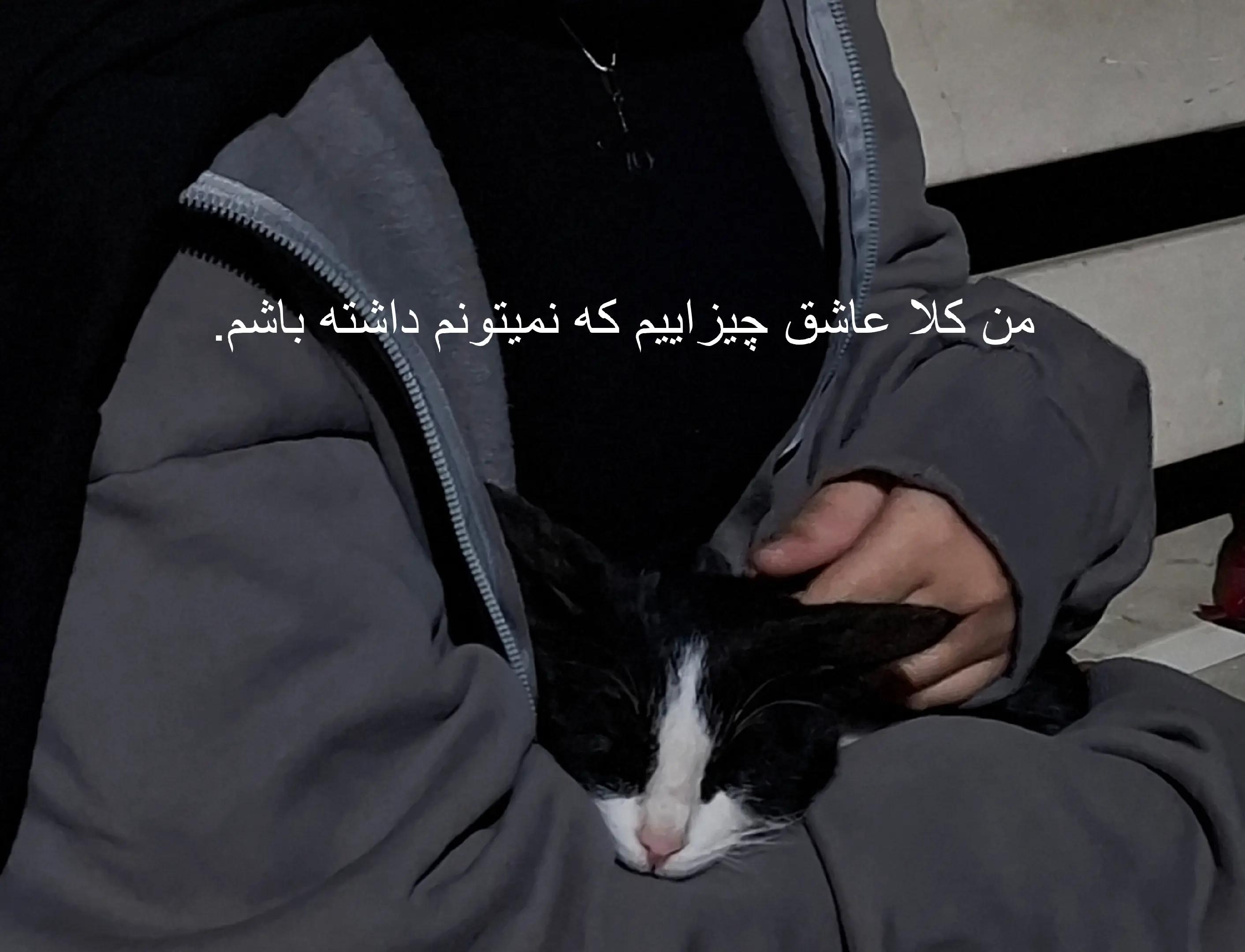 @🐈&zwj;⬛
