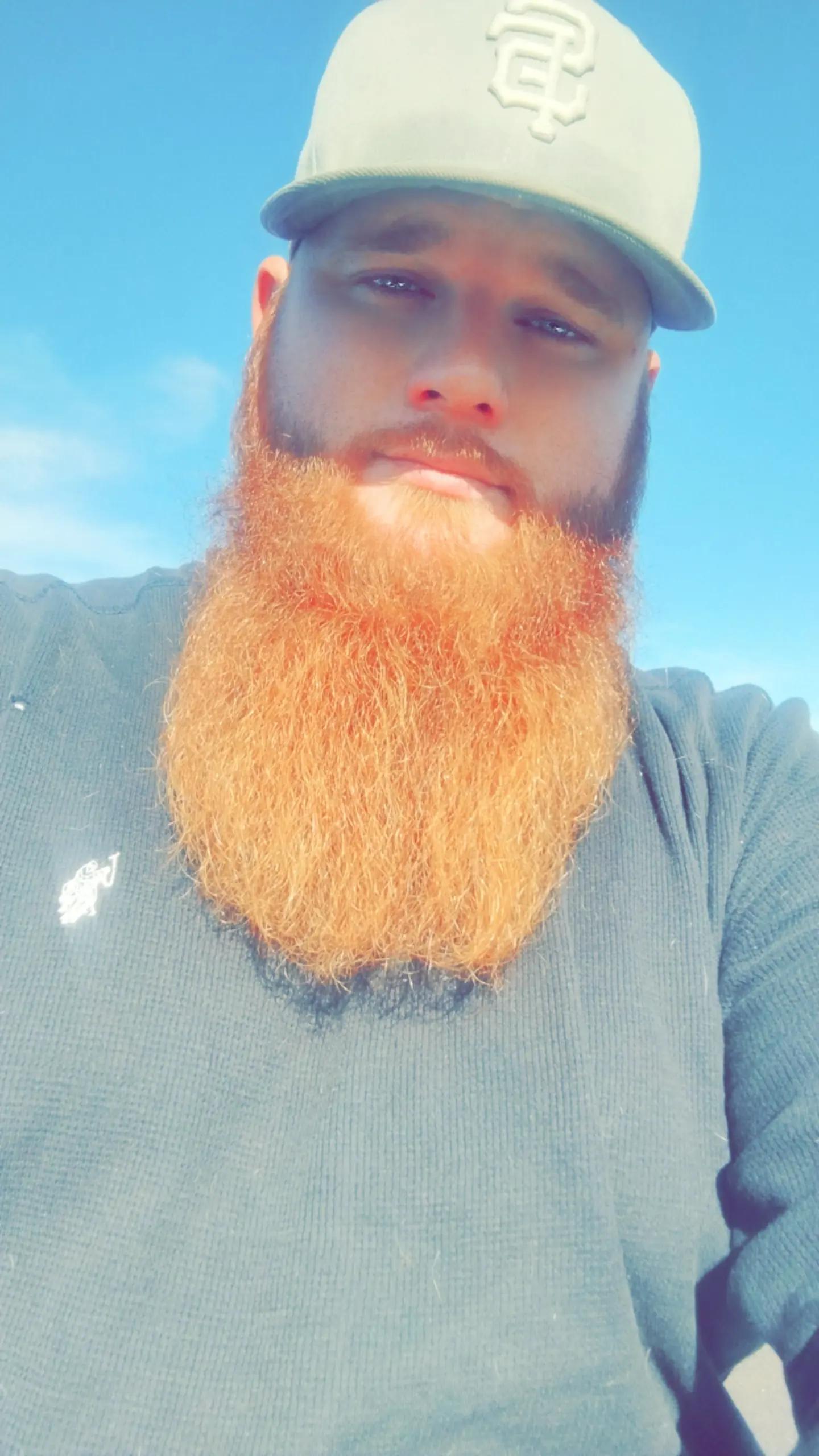 @beardedbirdie