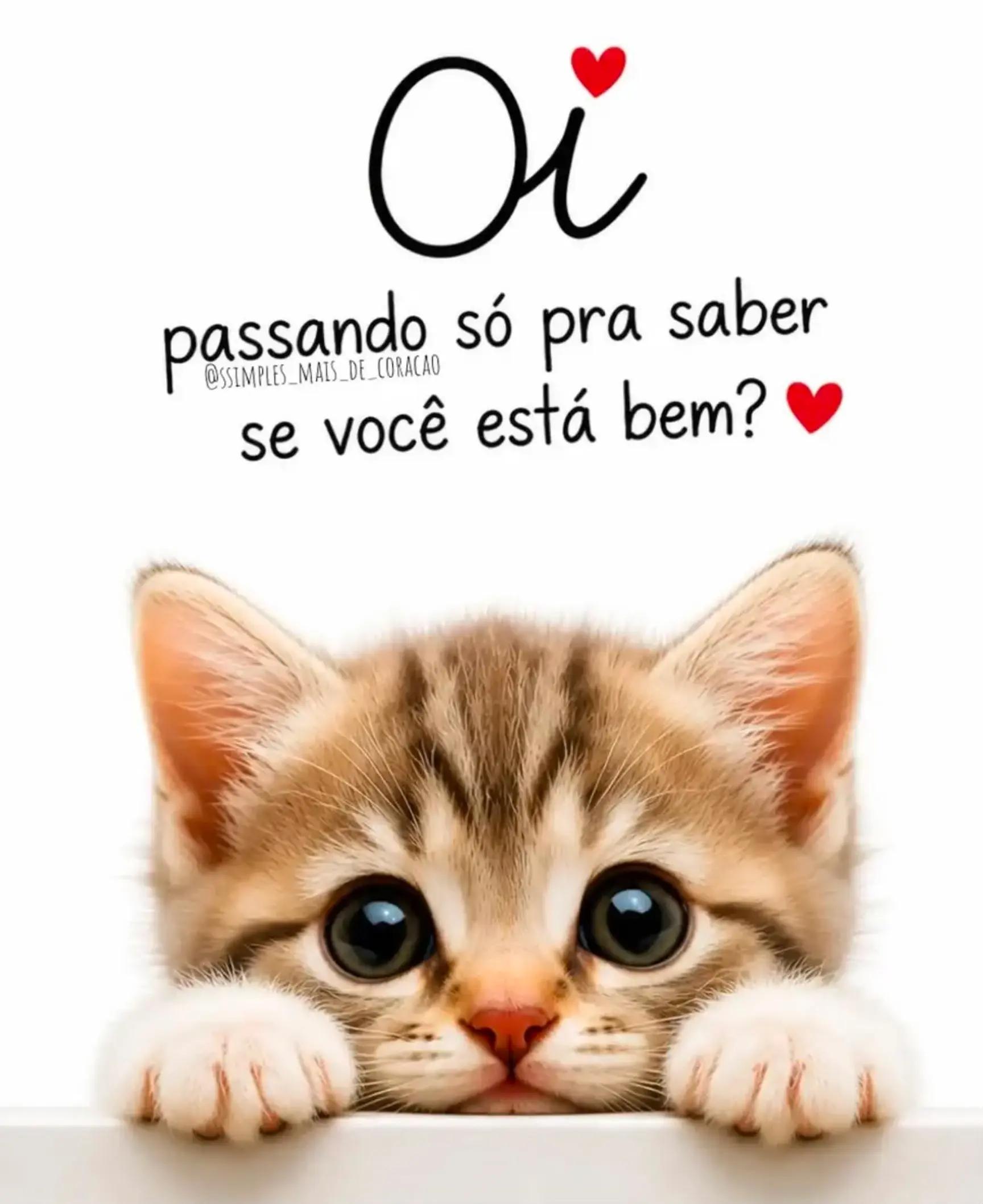 @Claudia Rossini