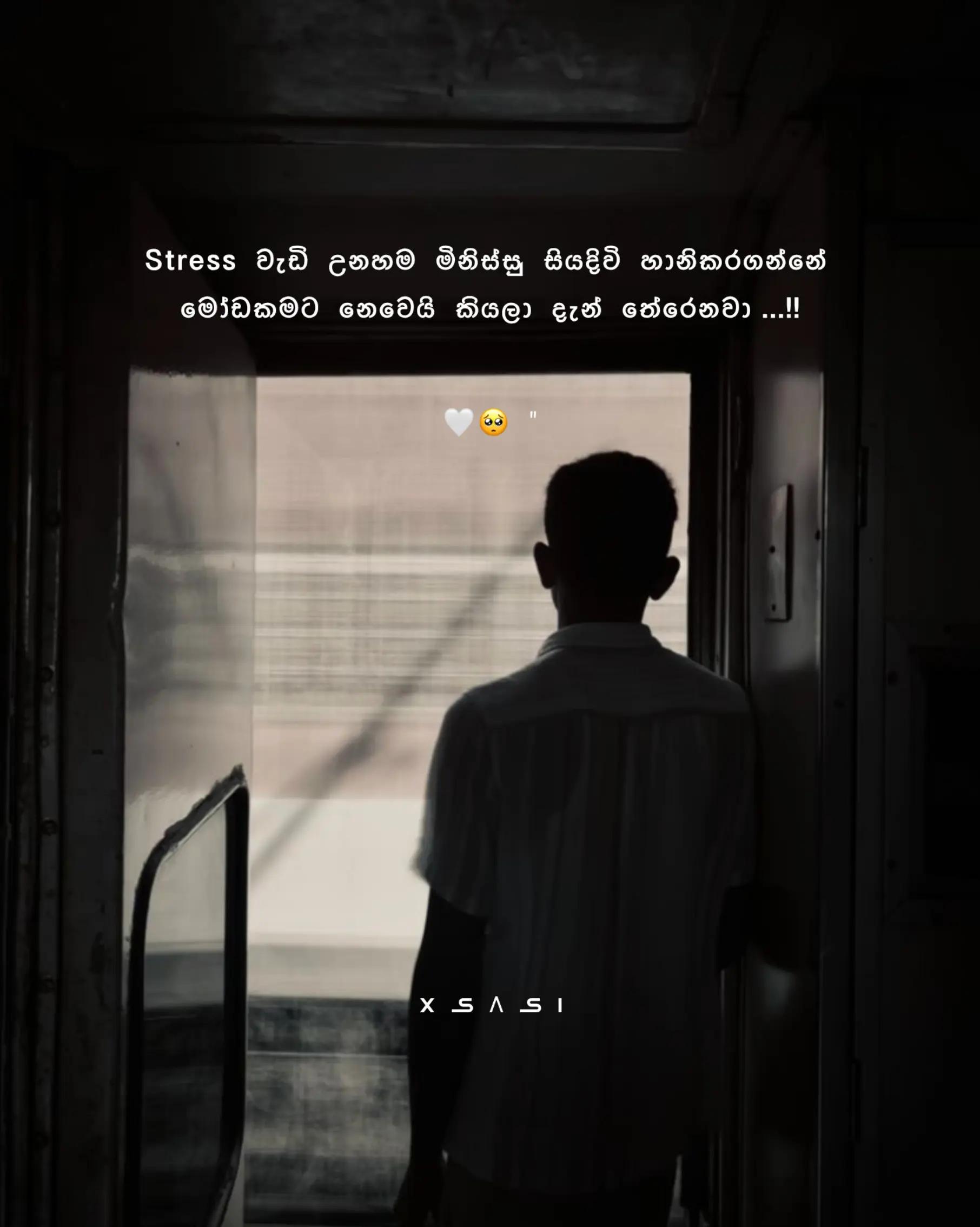 @S&Lambda;SI  |  සසි  |   சசி