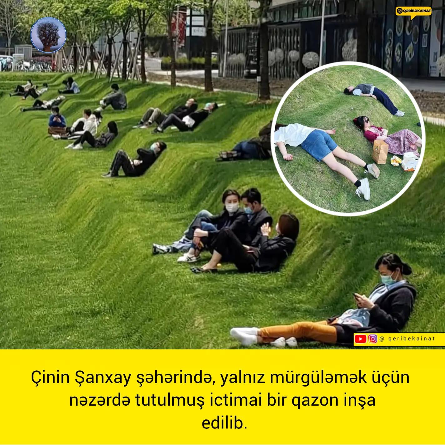 @qeribekainat