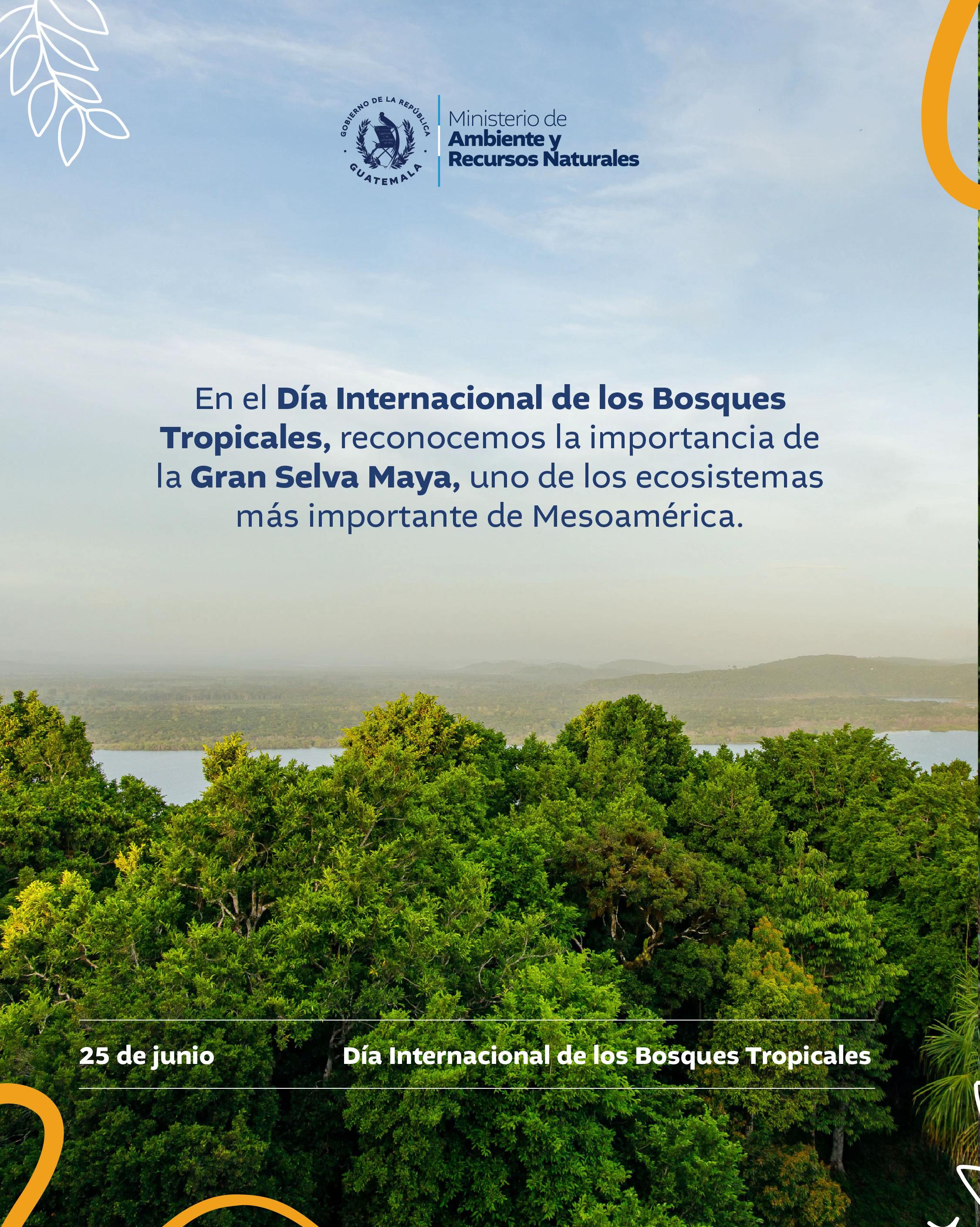 @Ministerio de Ambiente GT