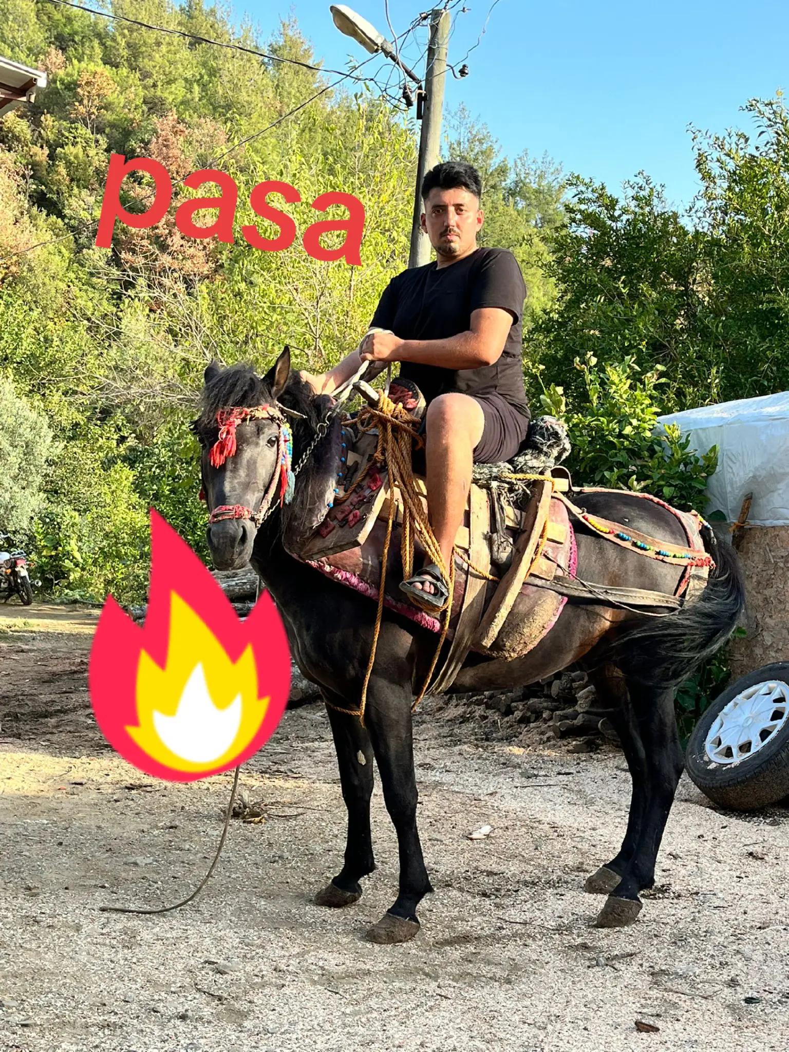 @Coşkun