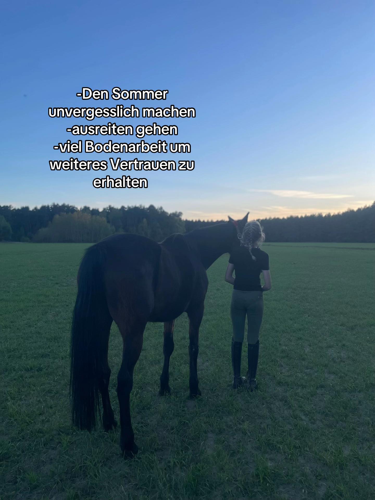 @lieblingstraber