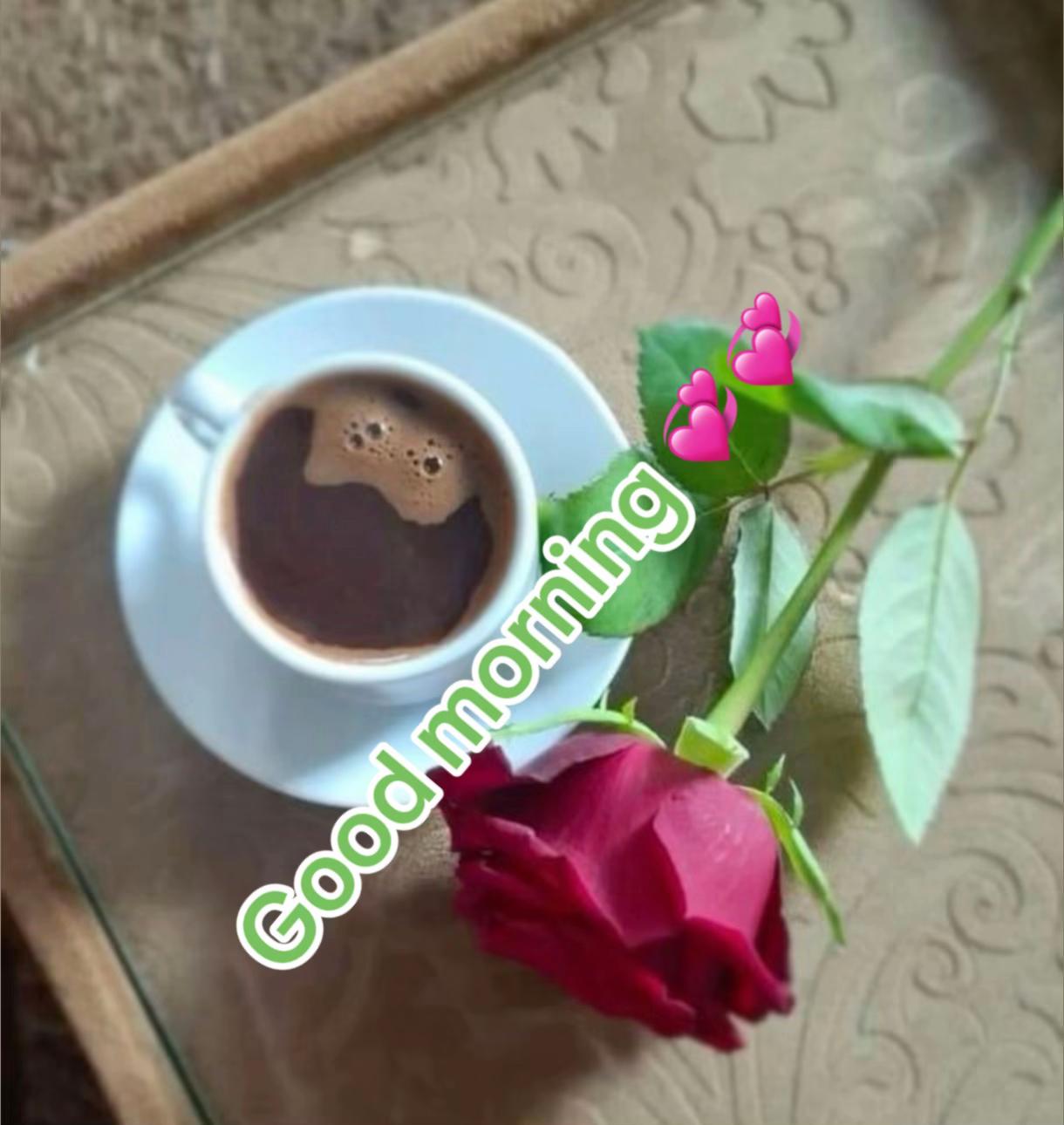 @TakittiAbbaadhoo♥️4💚3♥️0🌳