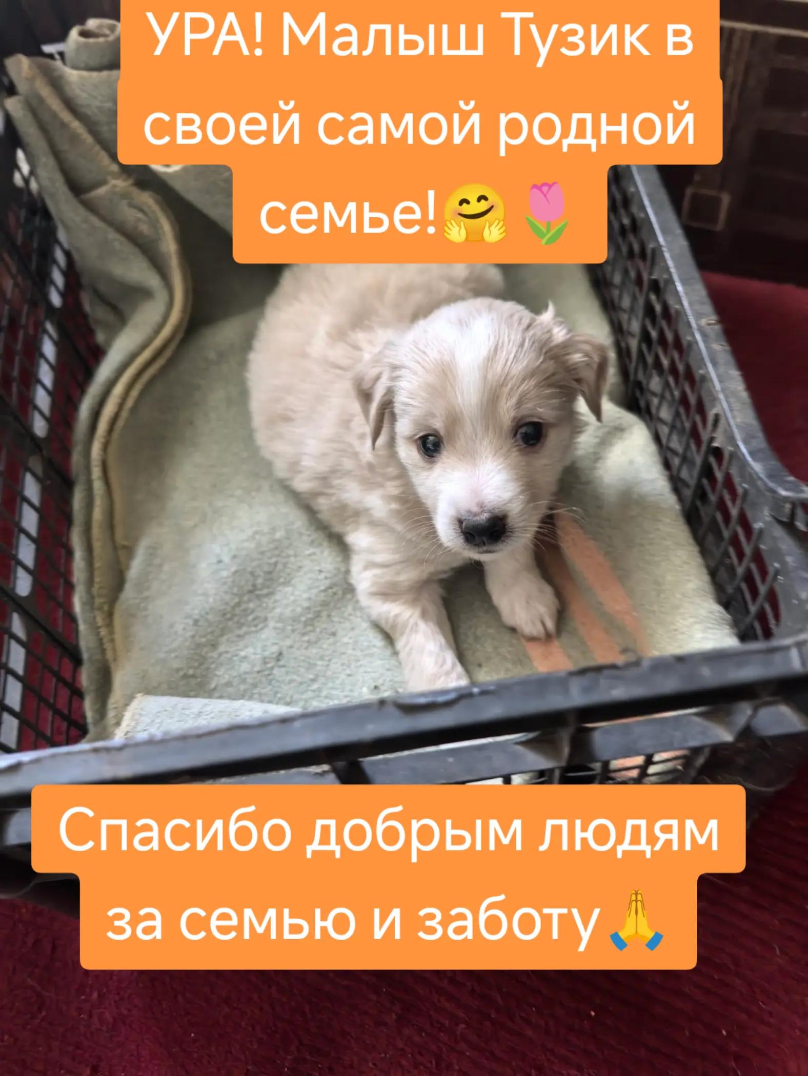 @Светлана Козлова