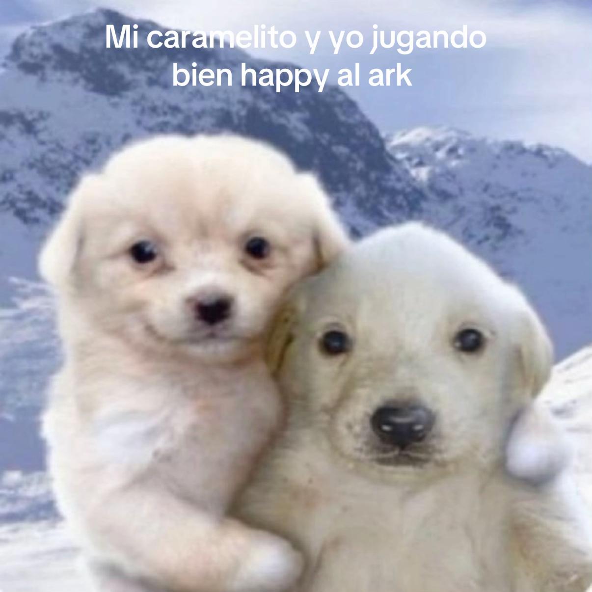 @El vex_FITT