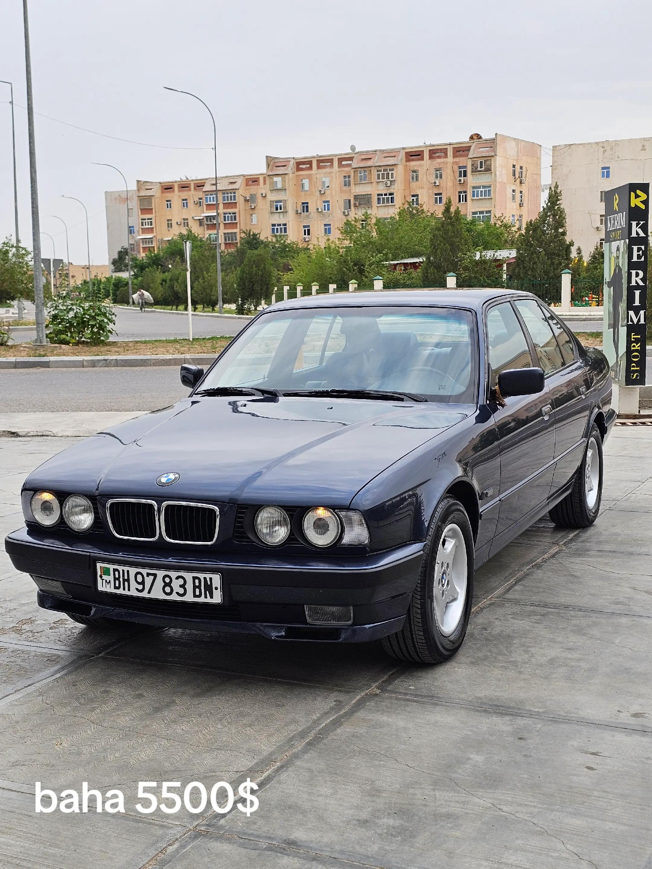 @Shapak Auto