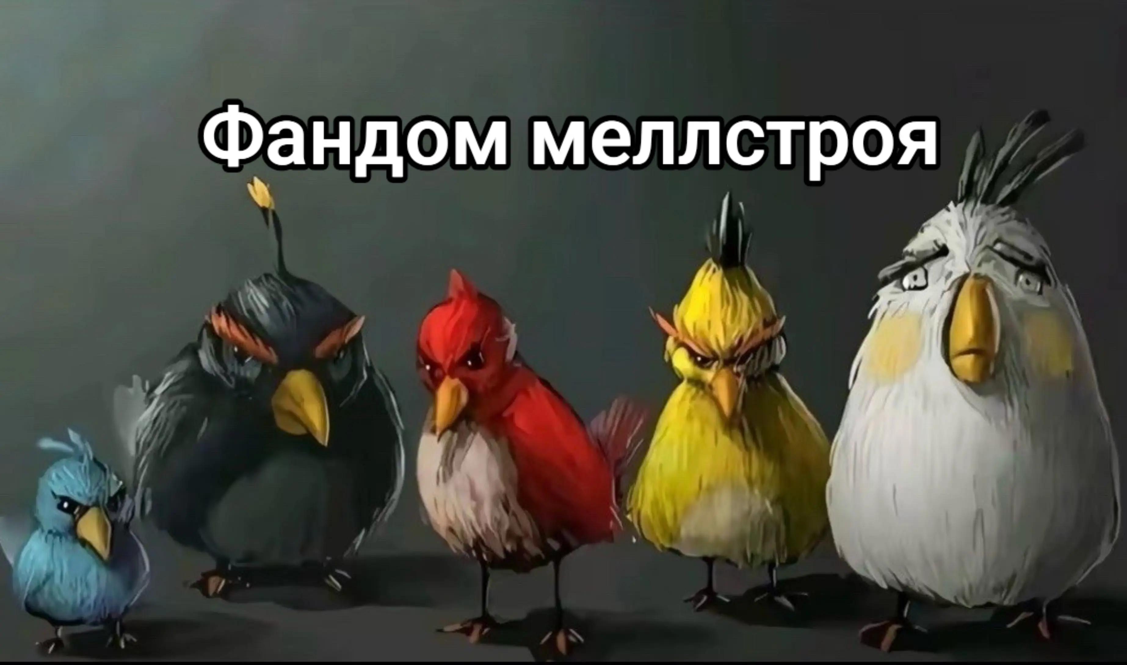 @Пинуча Гулобокий