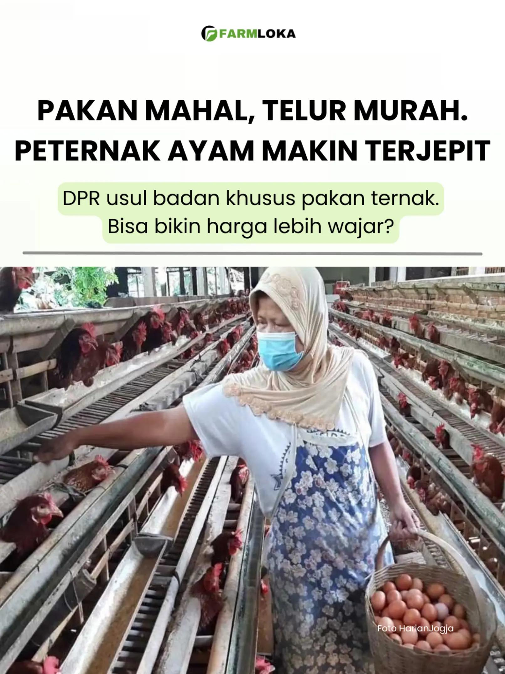 @Farmloka