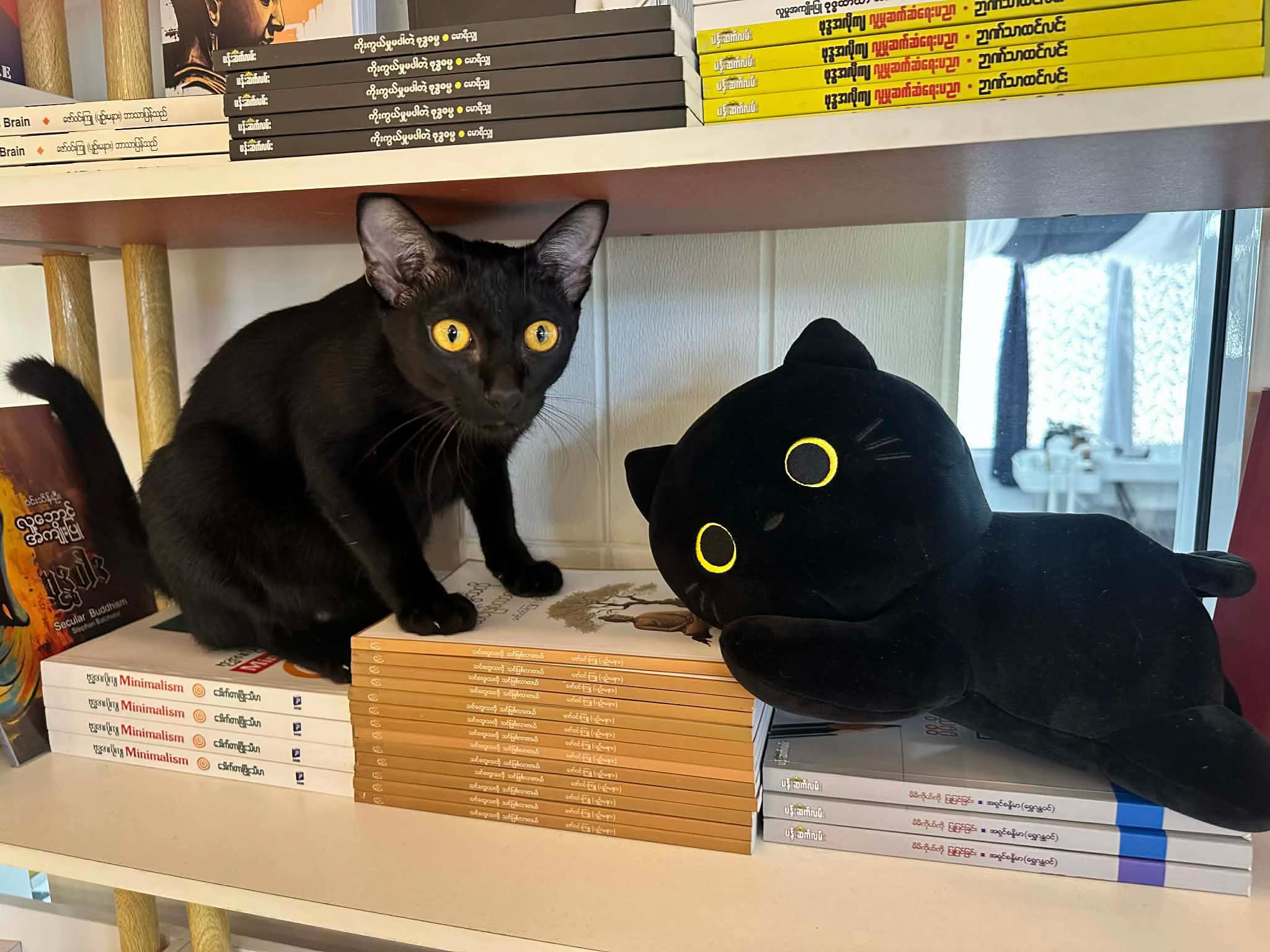 @Book Nook