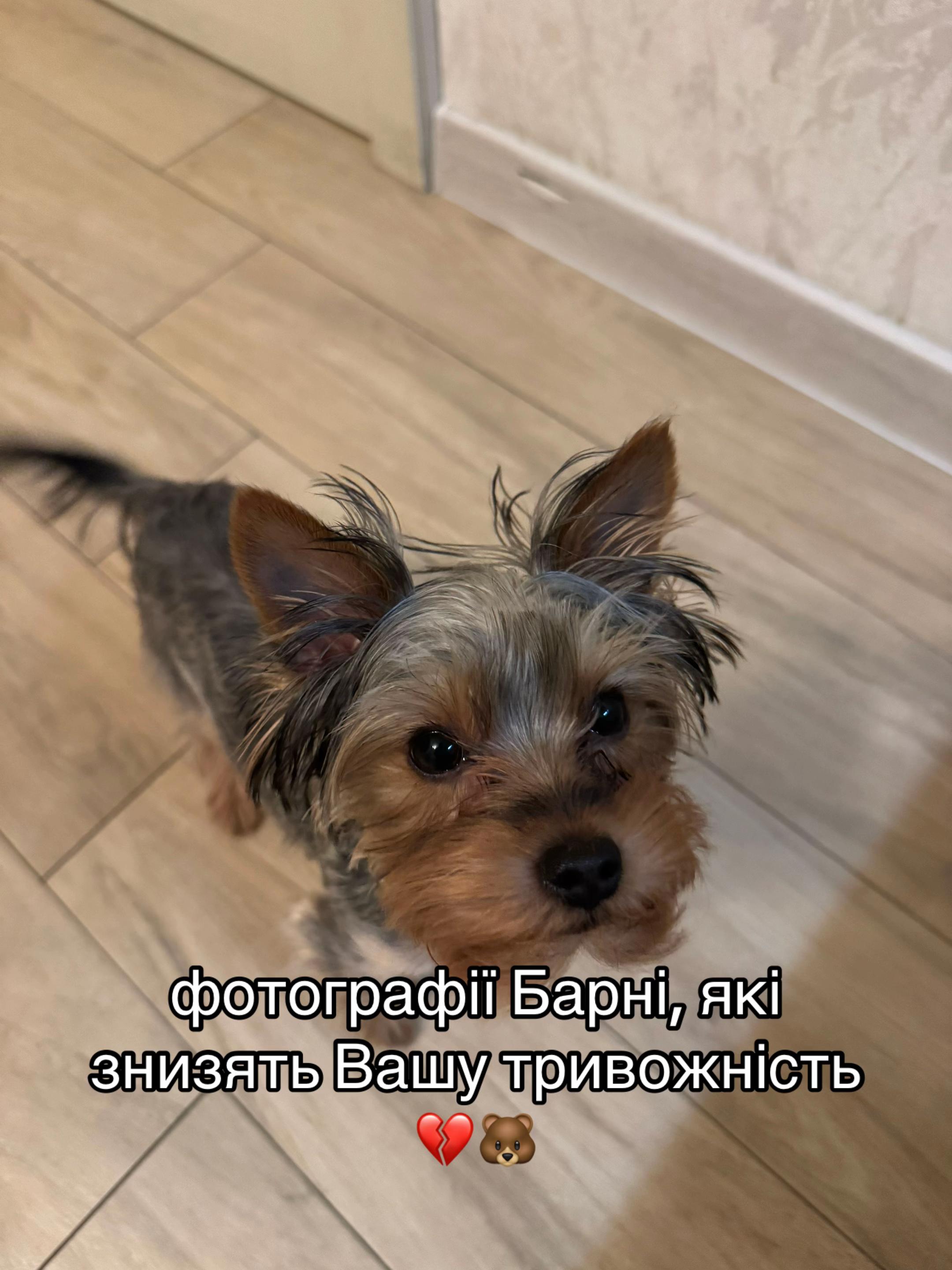 @𝐤𝐚𝐭𝐞𝐫𝐢𝐧𝐚🐈⬛